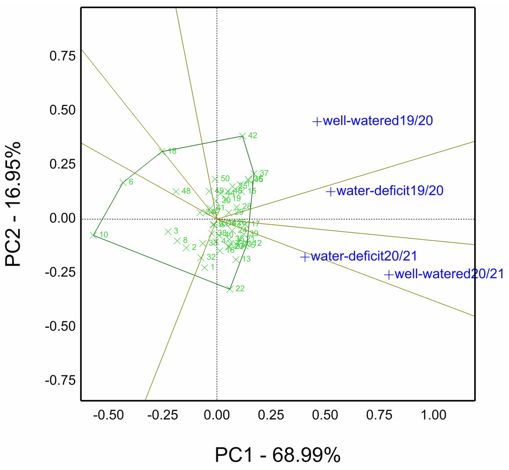 Agriculture 13 01338 g001