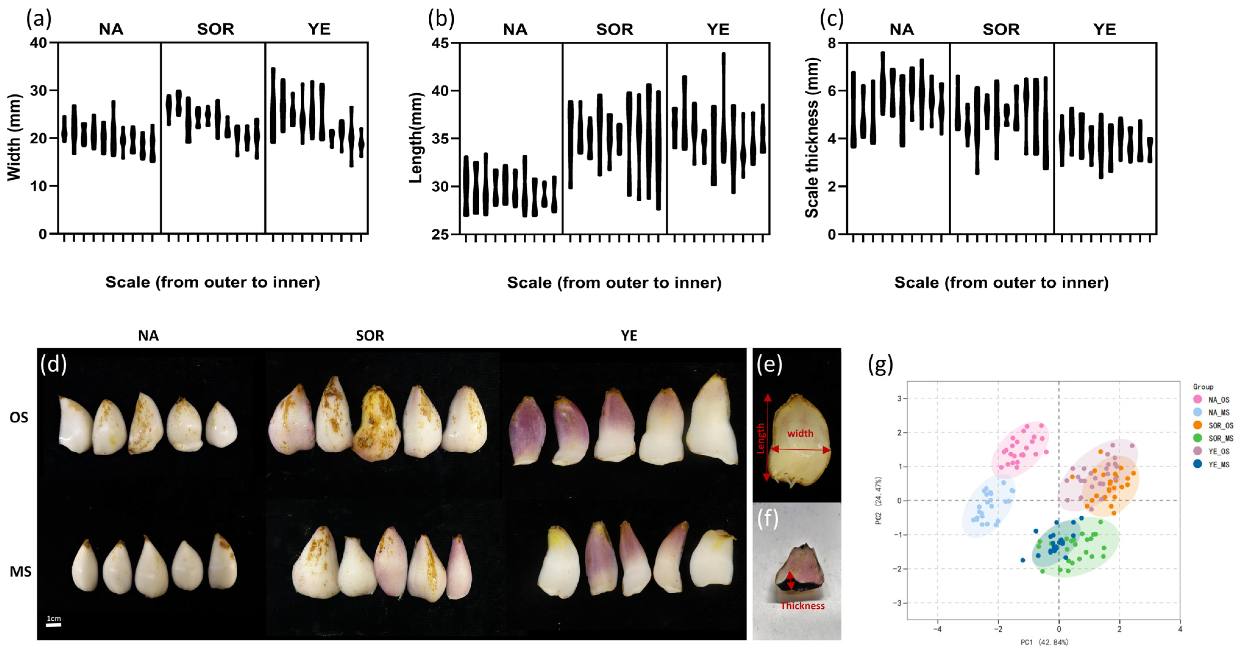 Agriculture 13 01341 g001