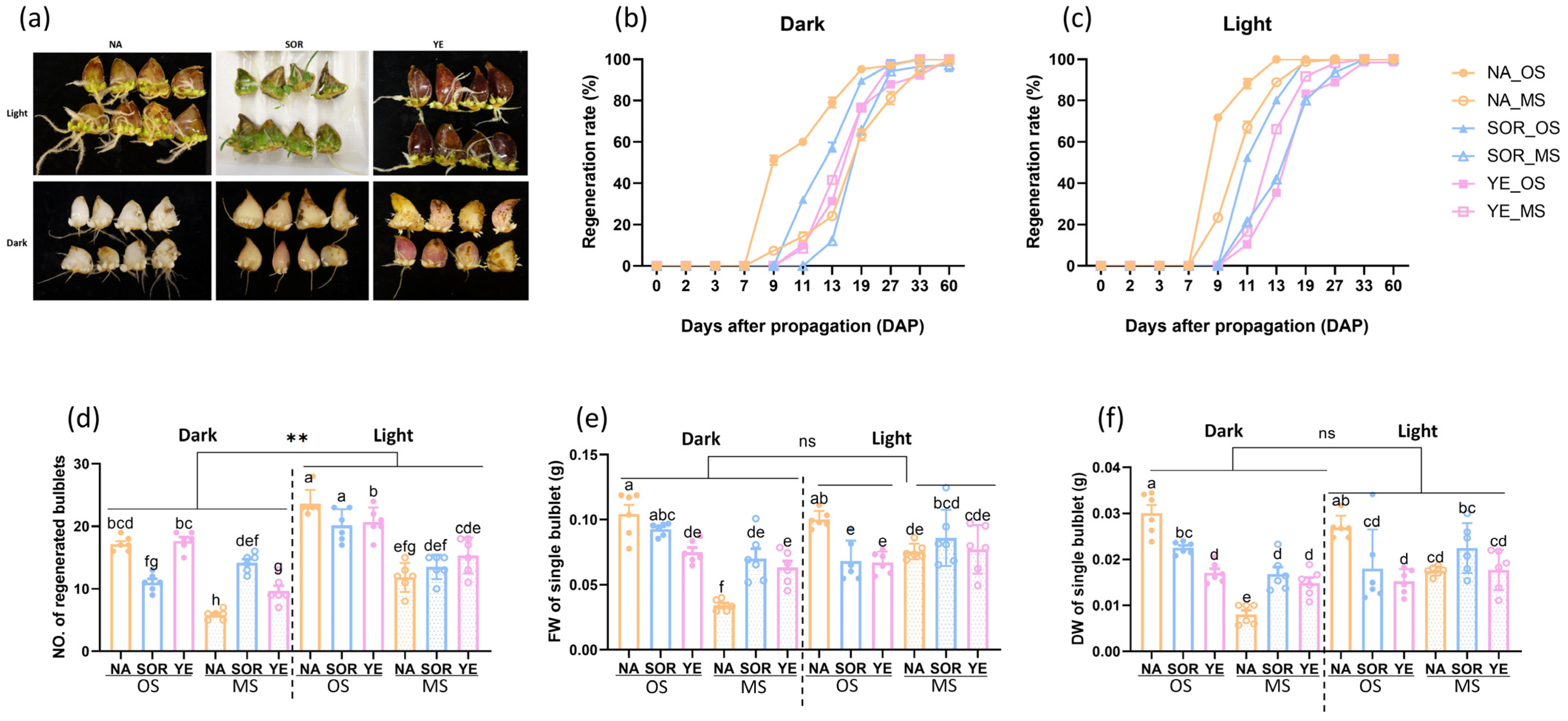 Agriculture 13 01341 g002