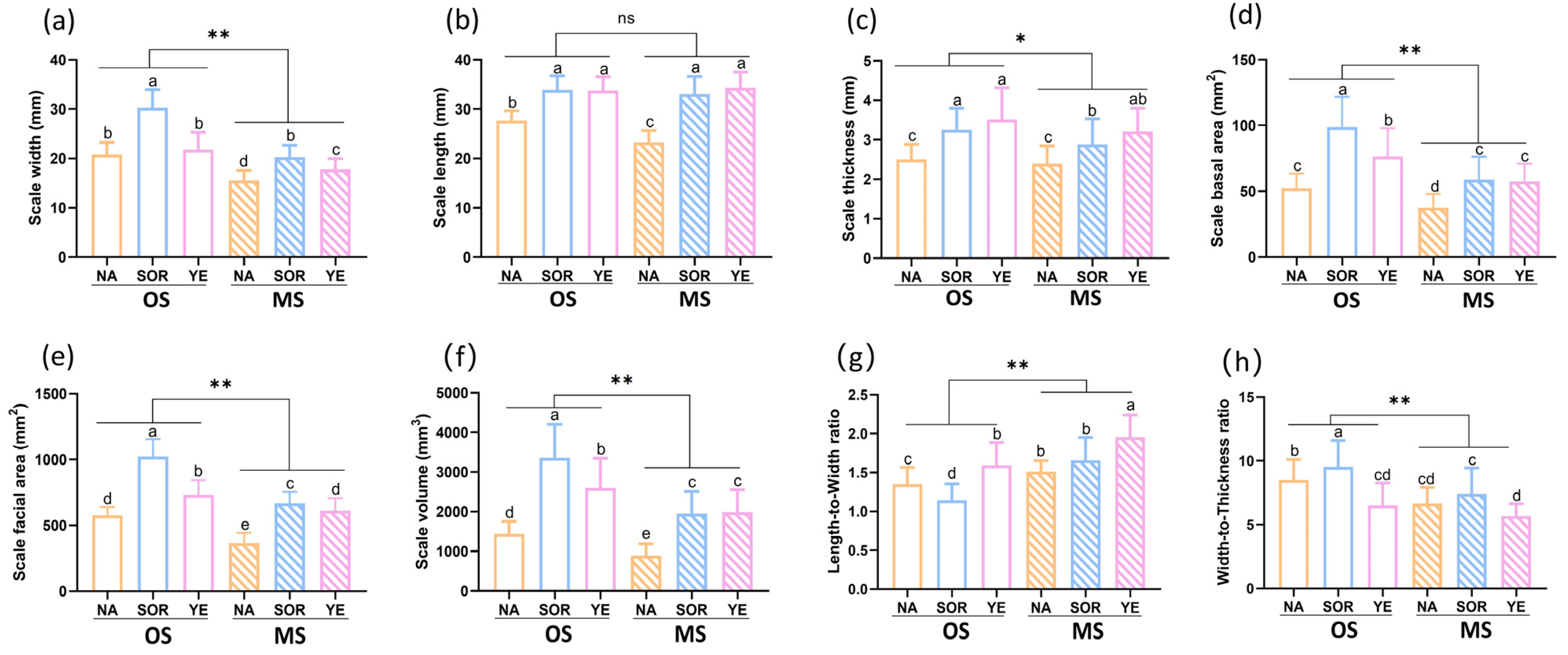 Agriculture 13 01341 g003