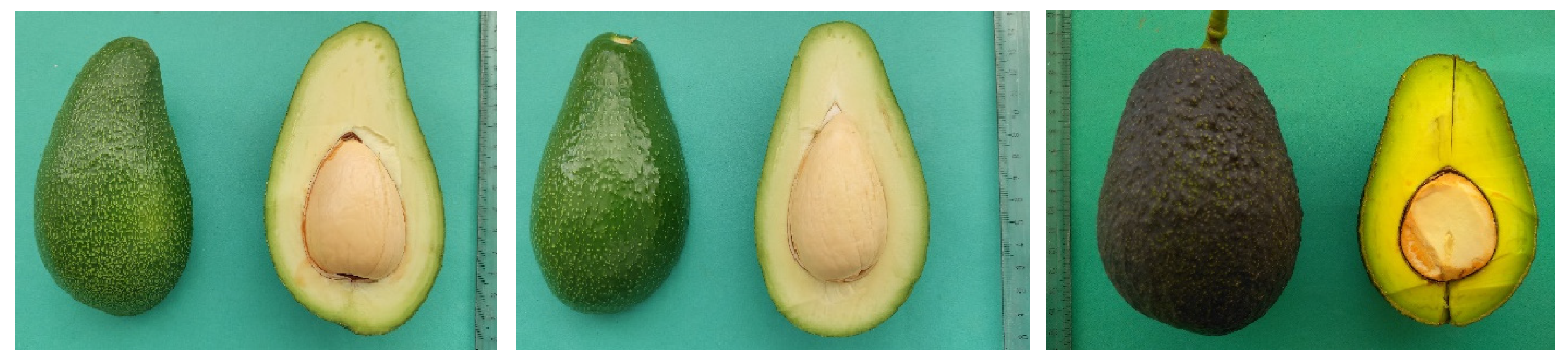 Agriculture 13 01342 g002