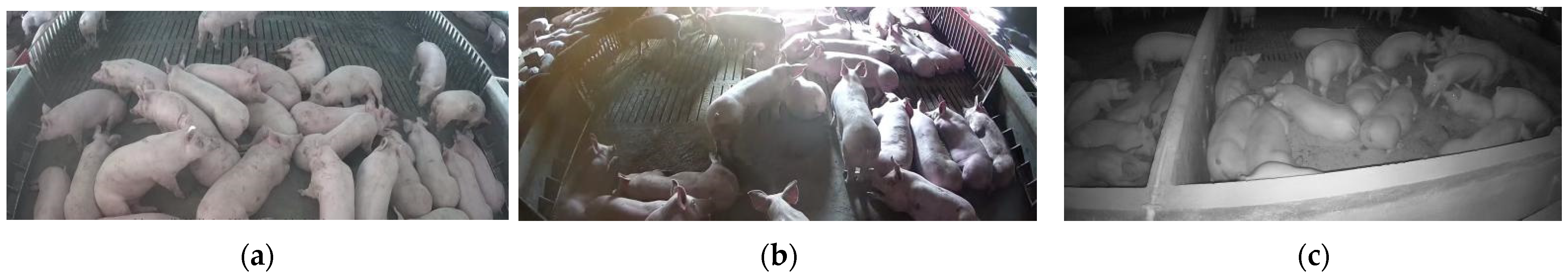 Agriculture 13 01349 g003 Agriculture 13 01349 g003