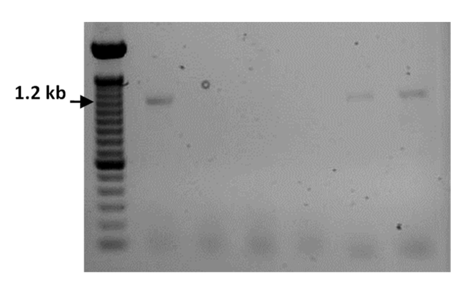 Agriculture 13 01362 g002