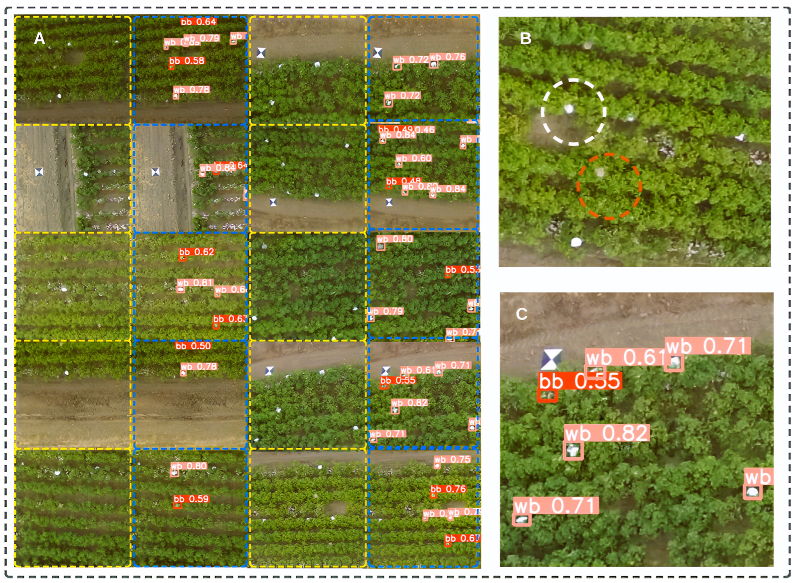 Agriculture 13 01365 g007