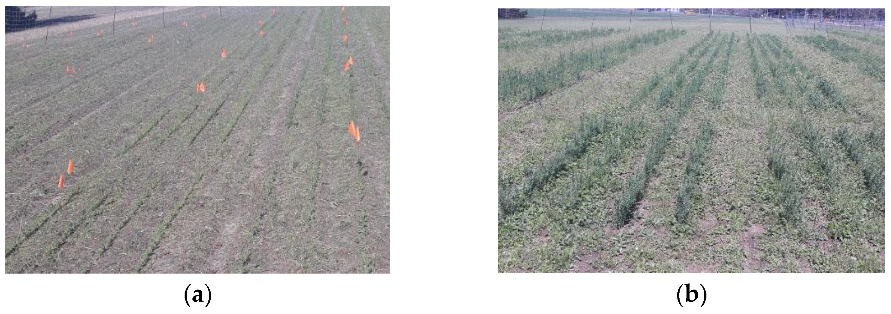 Agriculture 13 01374 g002a