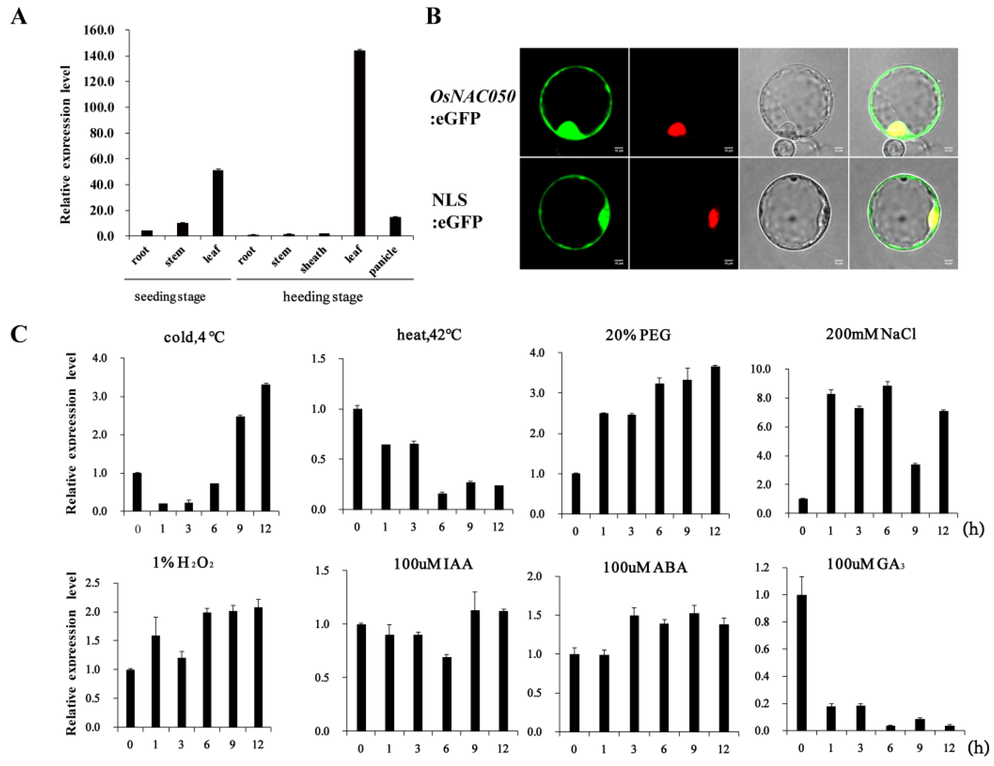 Agriculture 13 01378 g001
