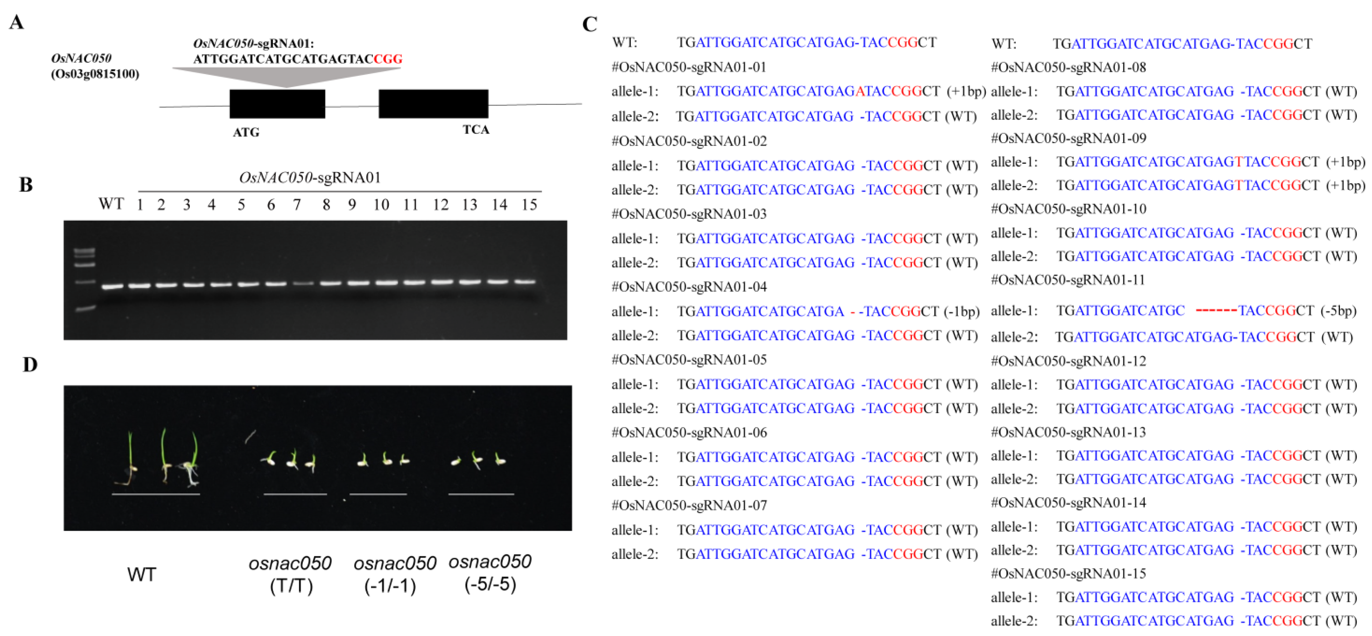 Agriculture 13 01378 g002