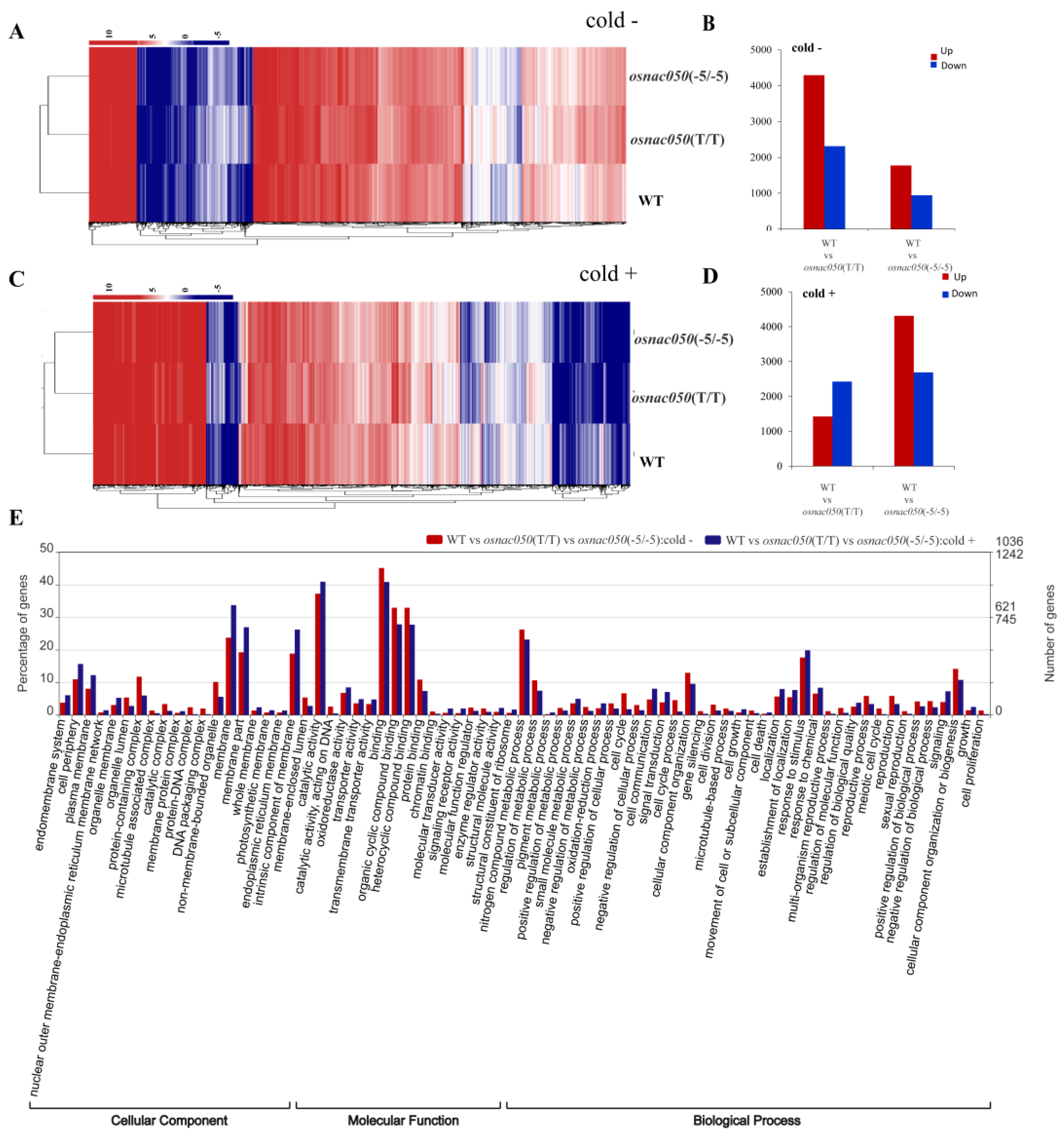 Agriculture 13 01378 g003