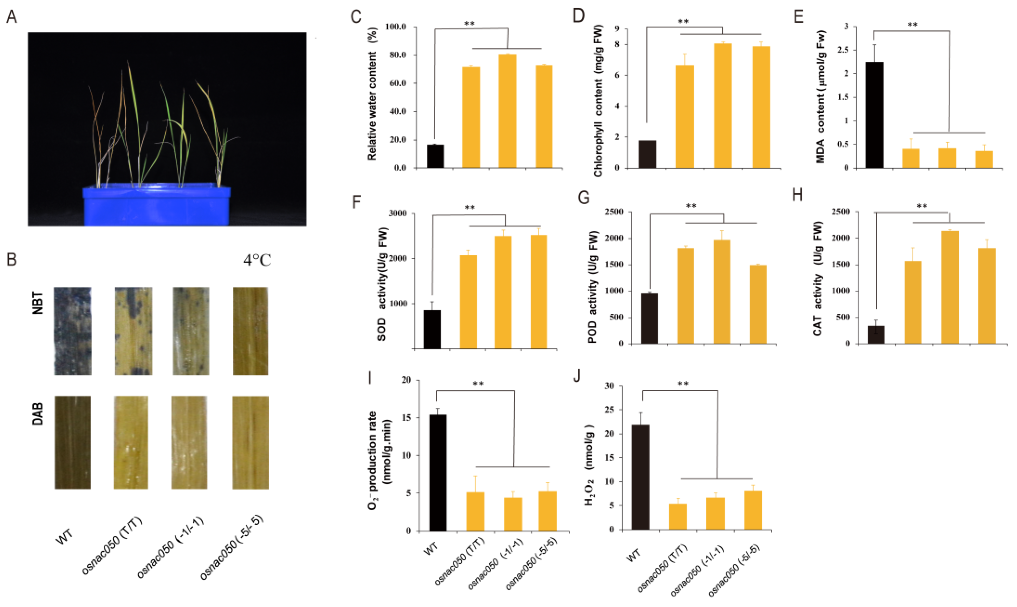 Agriculture 13 01378 g004