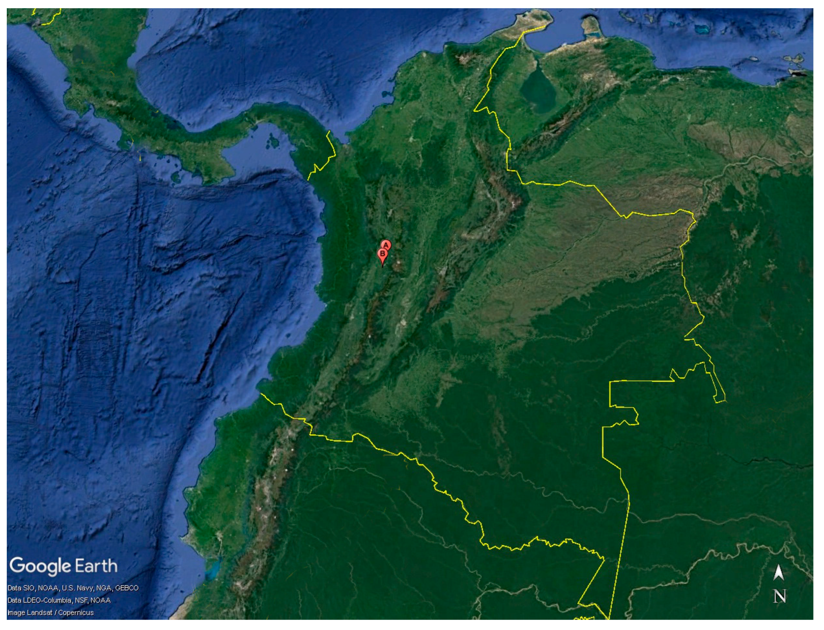 Agriculture 13 01392 g001