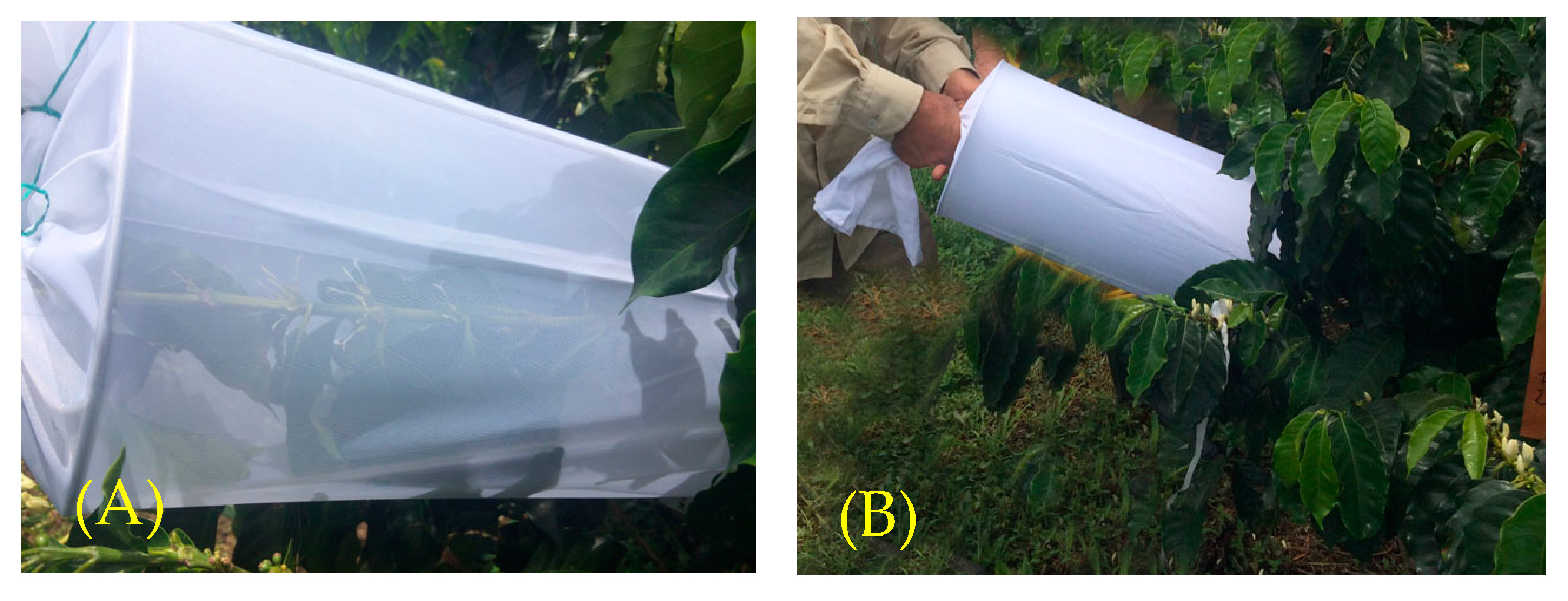 Agriculture 13 01392 g002