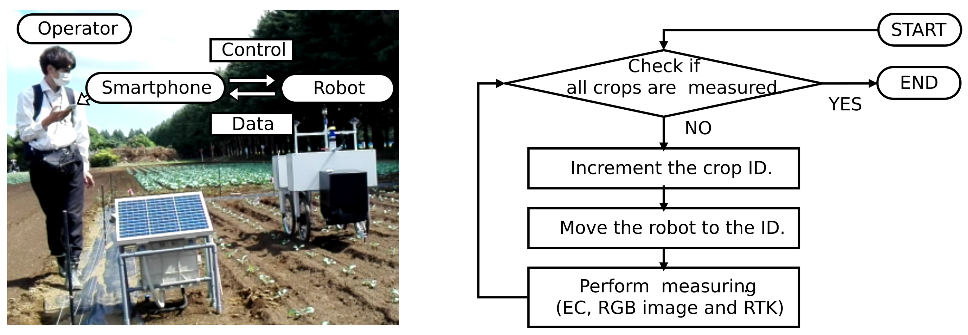 Agriculture 13 01419 g006