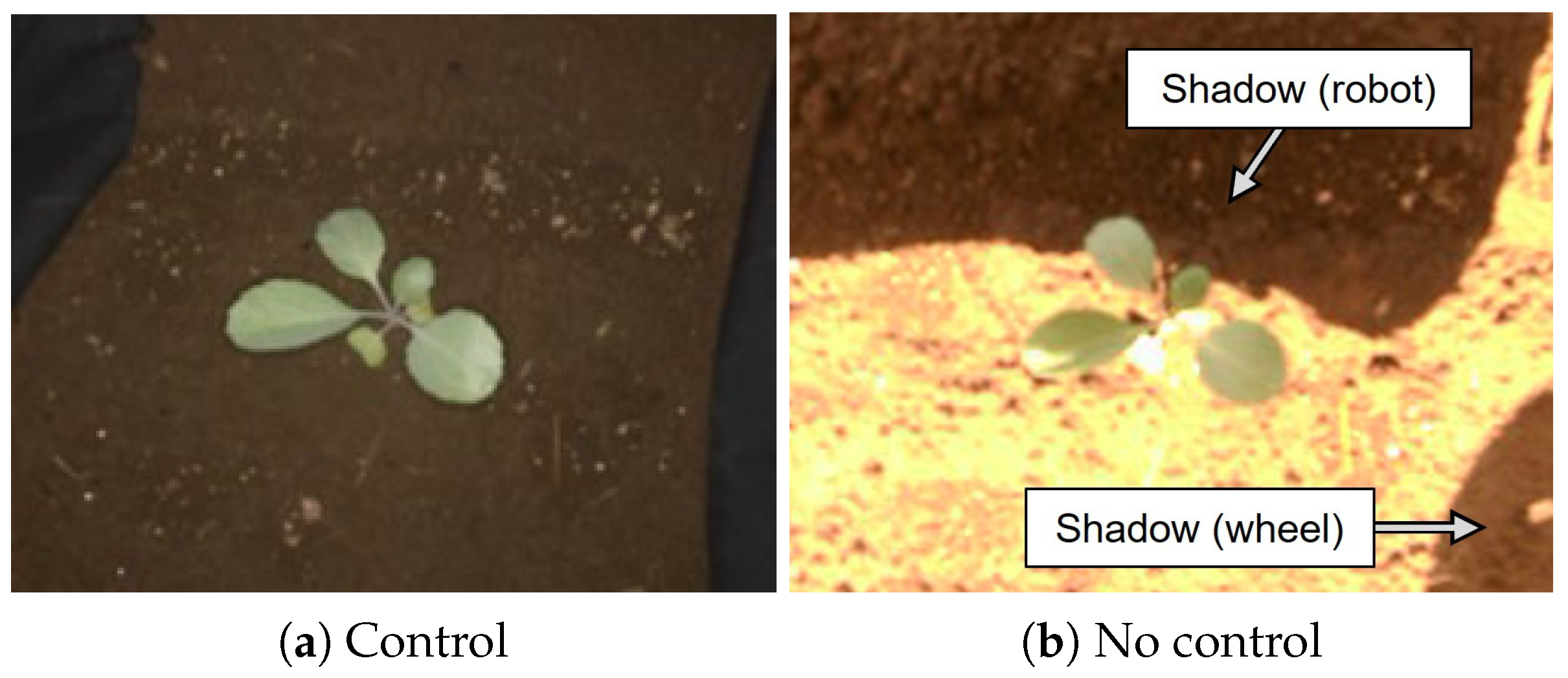 Agriculture 13 01419 g008