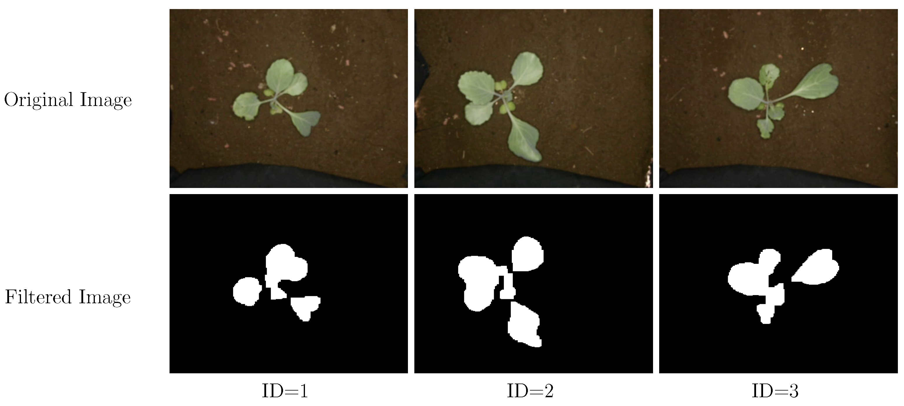 Agriculture 13 01419 g0a1