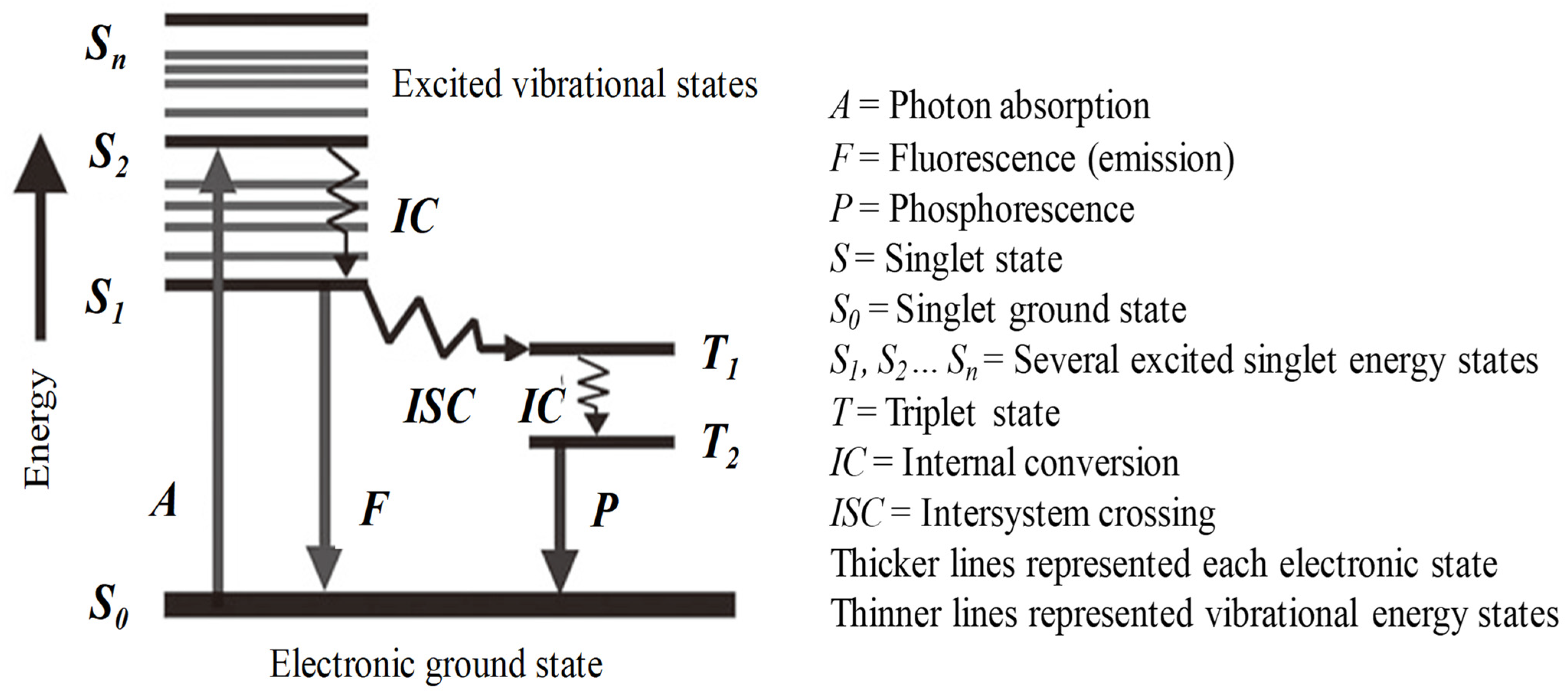 Agriculture 13 01433 g001