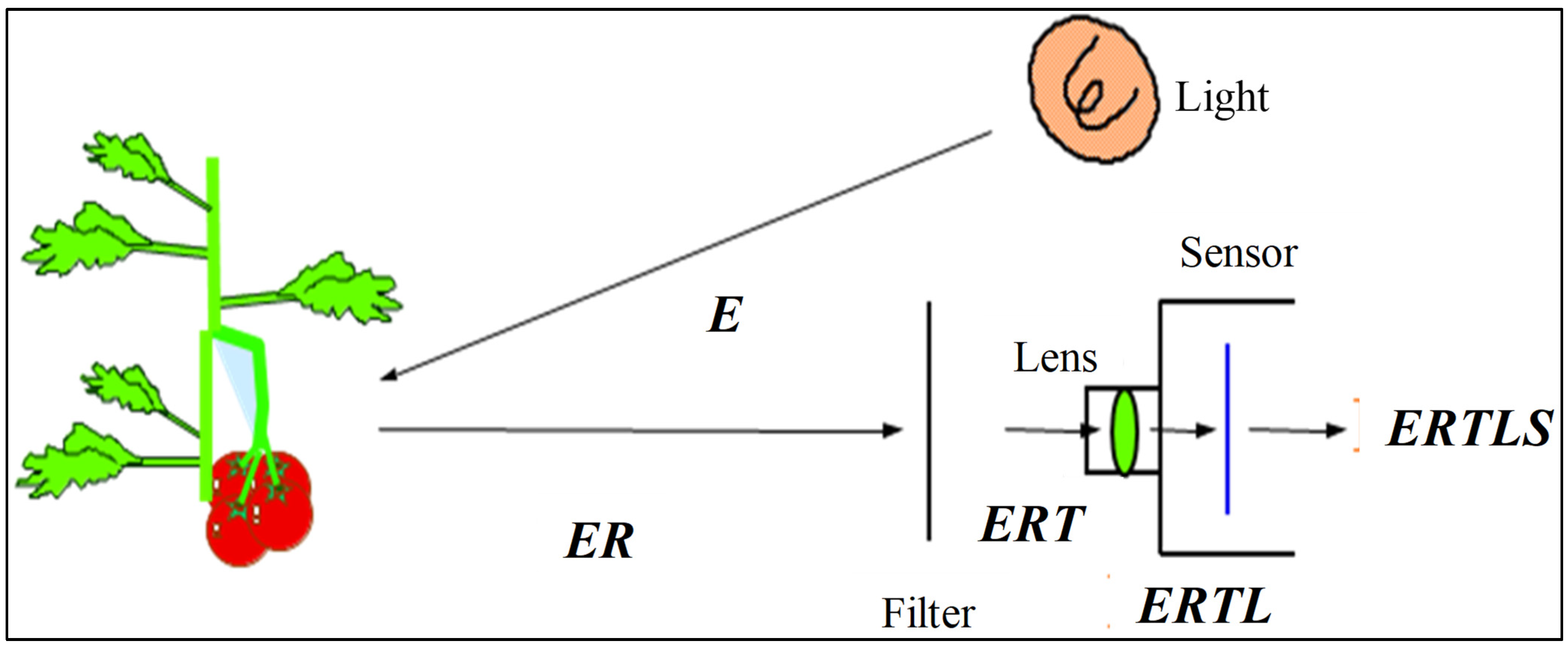 Agriculture 13 01433 g003