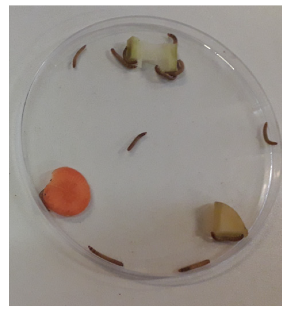 Agriculture 13 01435 g001