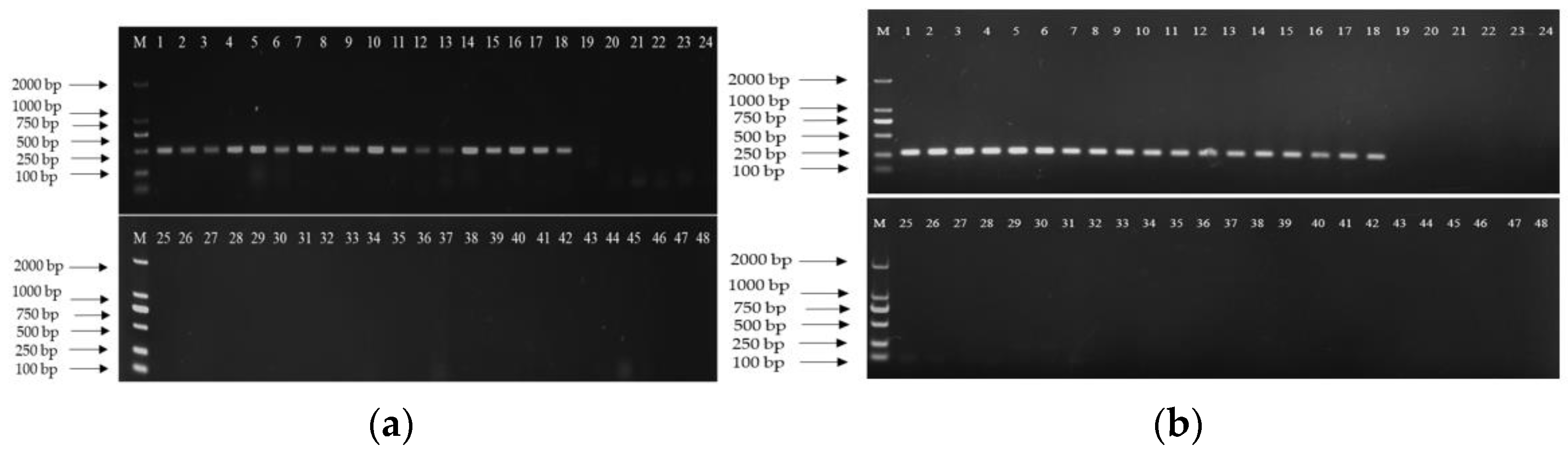 Agriculture 13 01452 g001