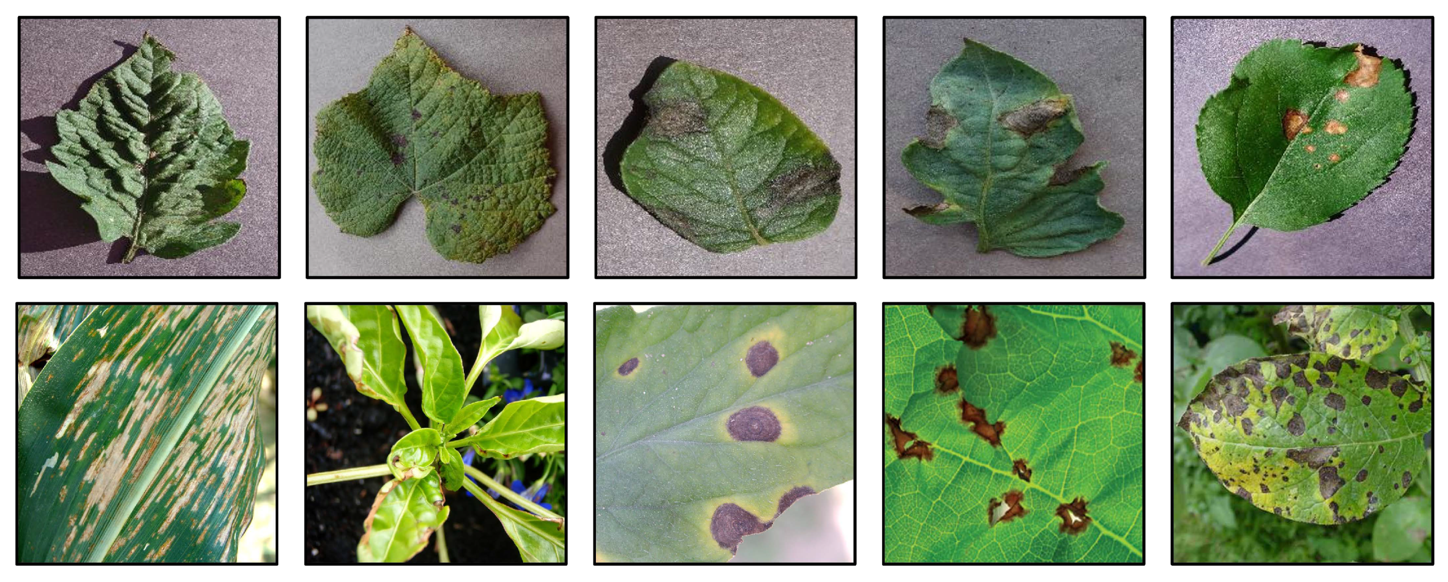 Agriculture 13 01461 g001