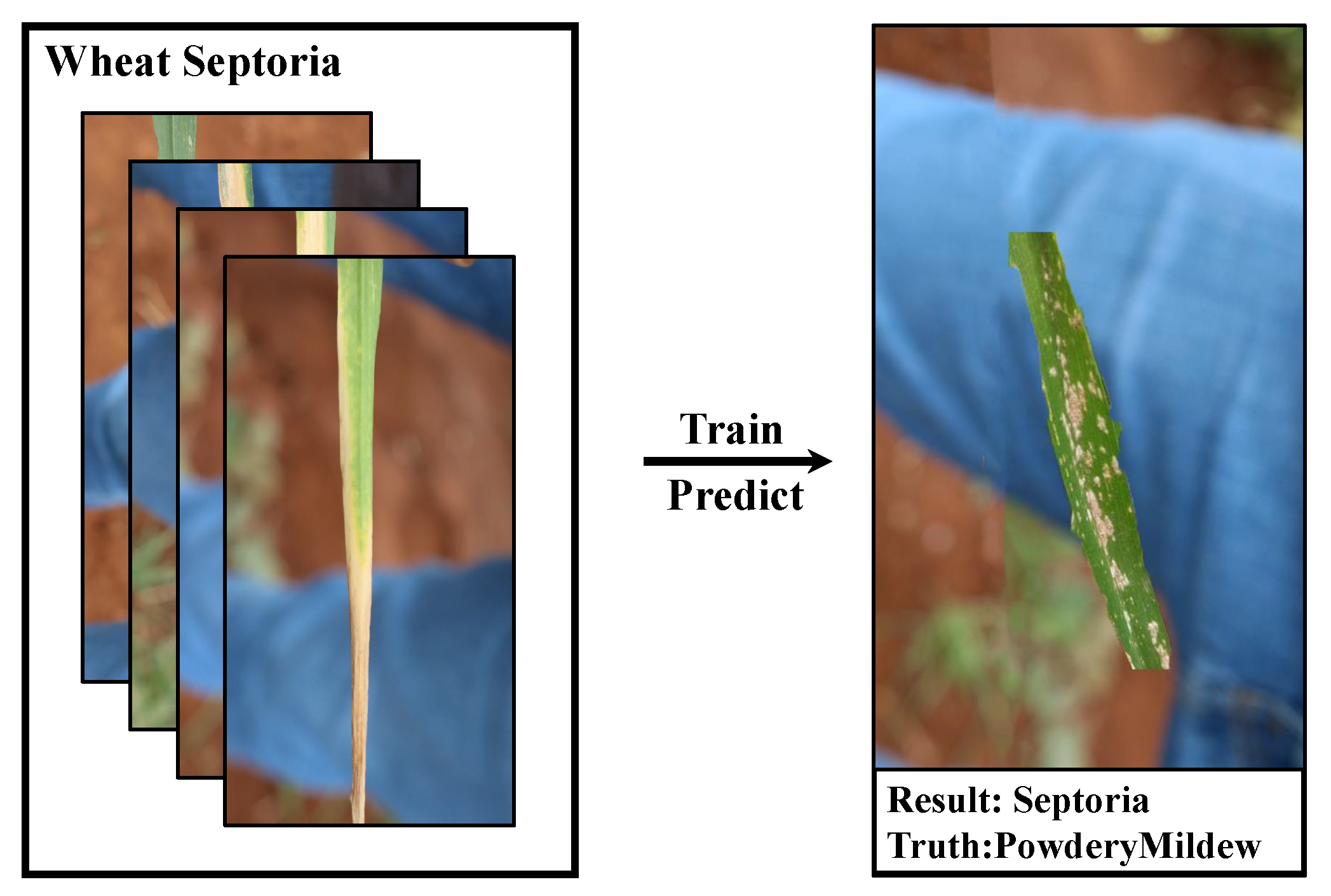 Agriculture 13 01461 g002