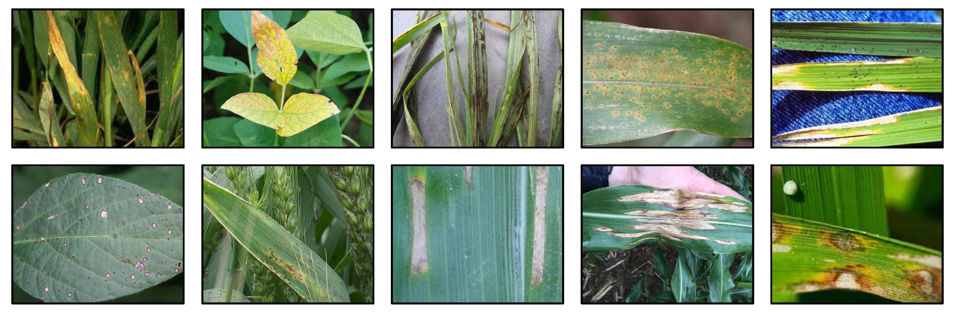 Agriculture 13 01461 g003