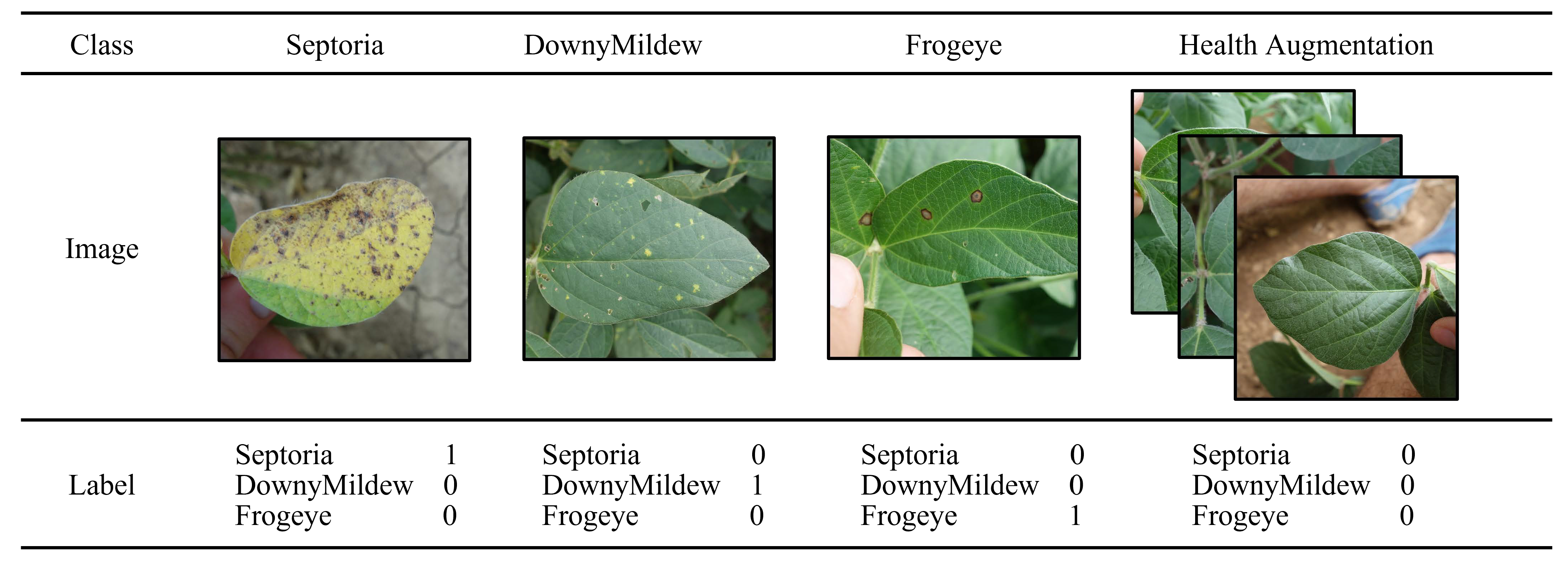 Agriculture 13 01461 g004