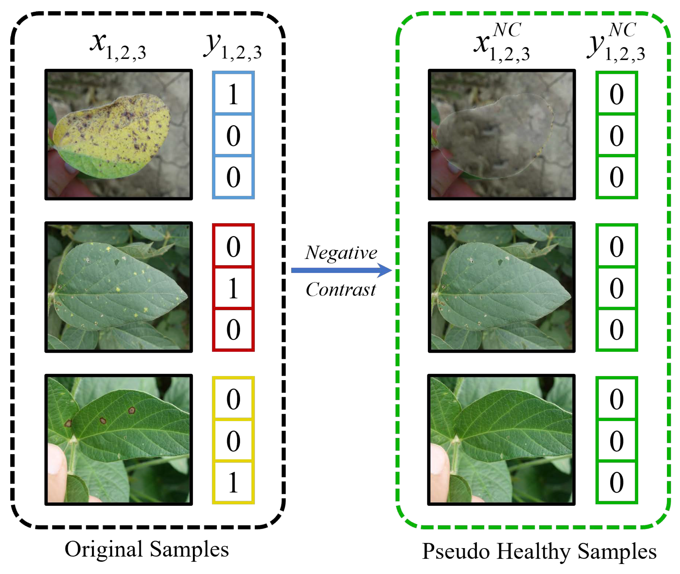 Agriculture 13 01461 g006