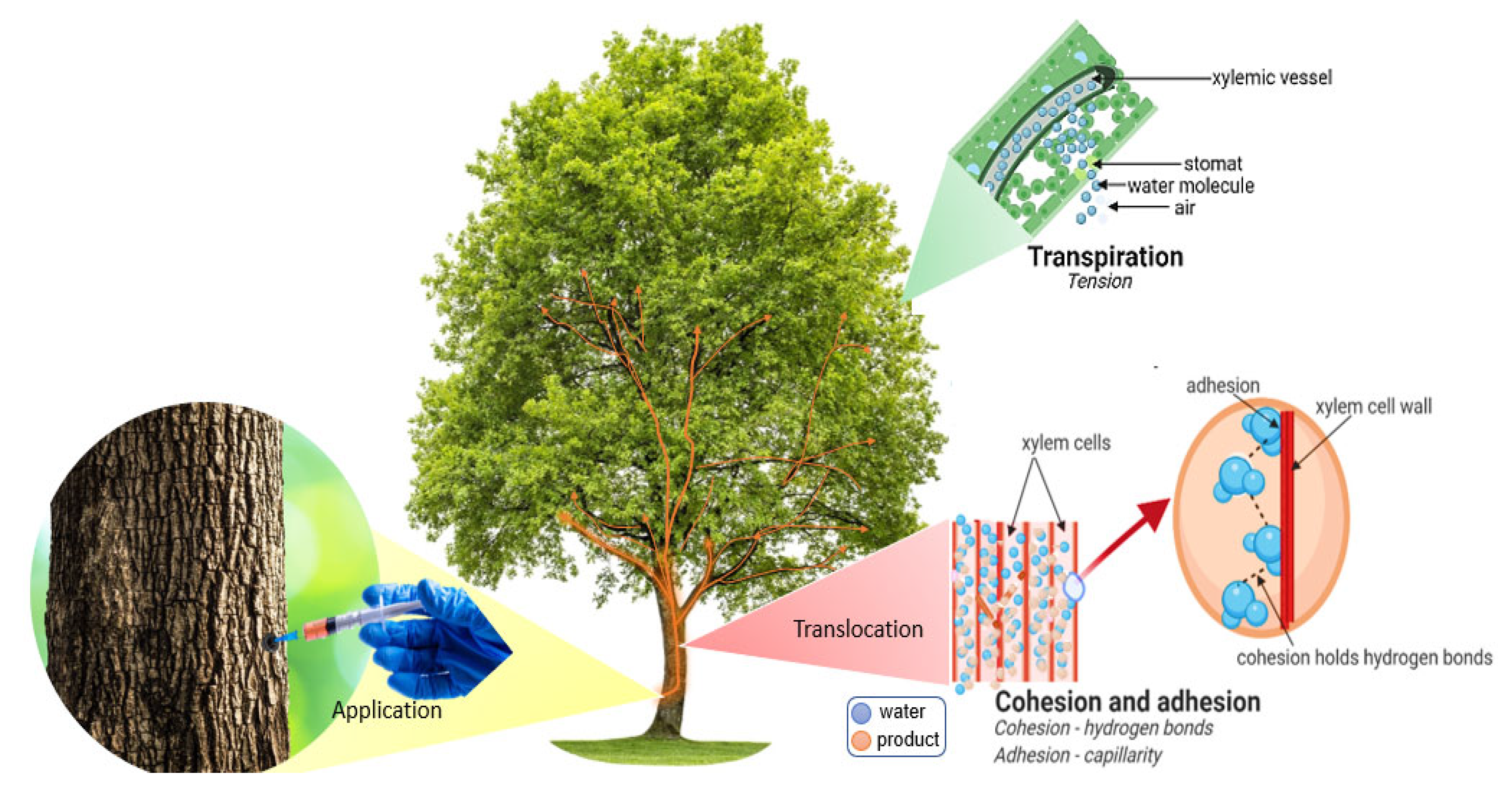 Agriculture 13 01465 g001 Agriculture 13 01465 g001