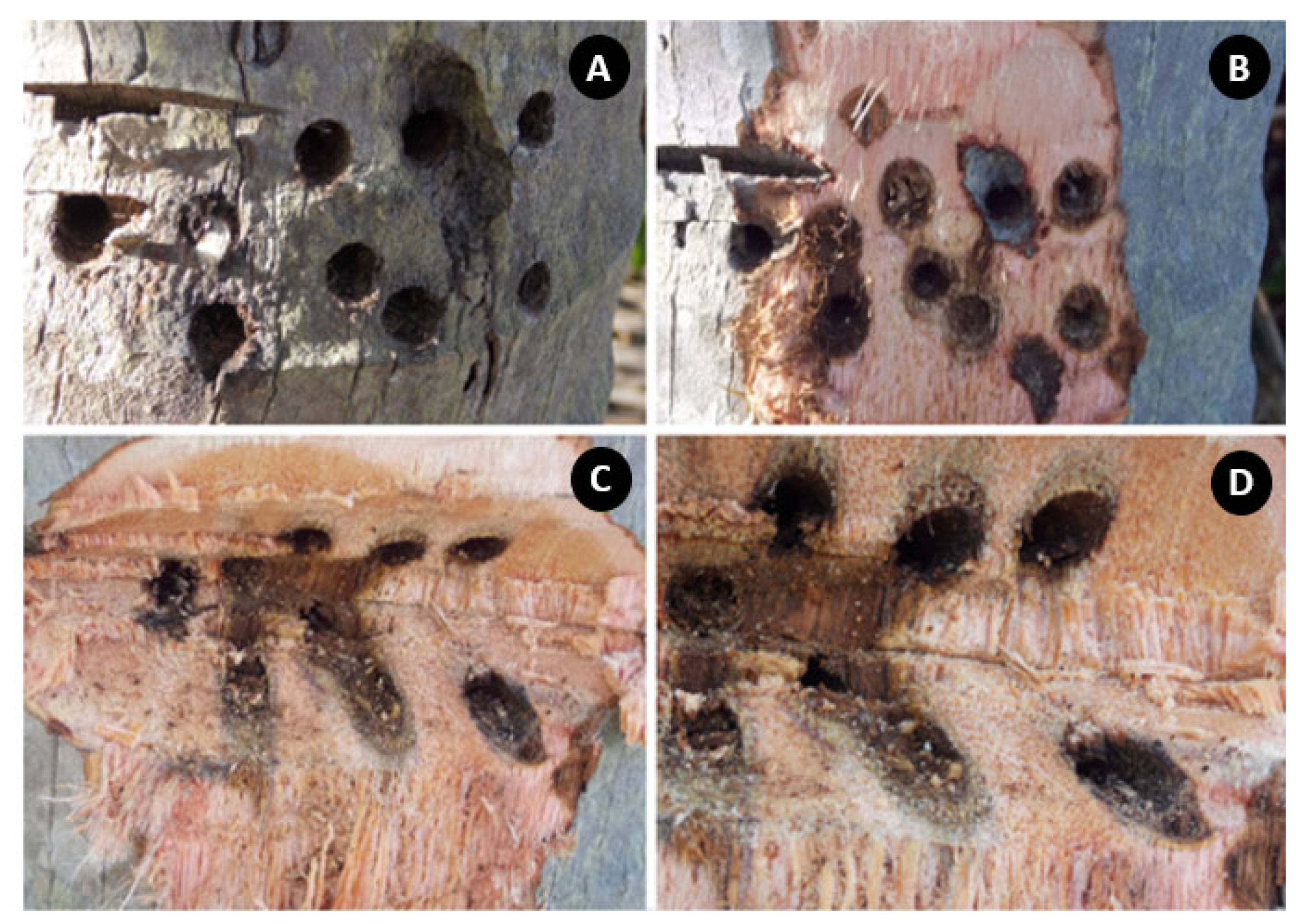 Agriculture 13 01465 g007 Agriculture 13 01465 g007