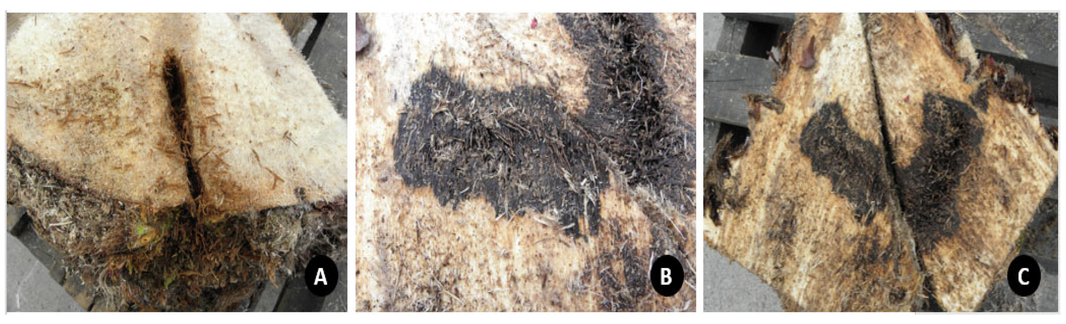 Agriculture 13 01465 g008 Agriculture 13 01465 g008