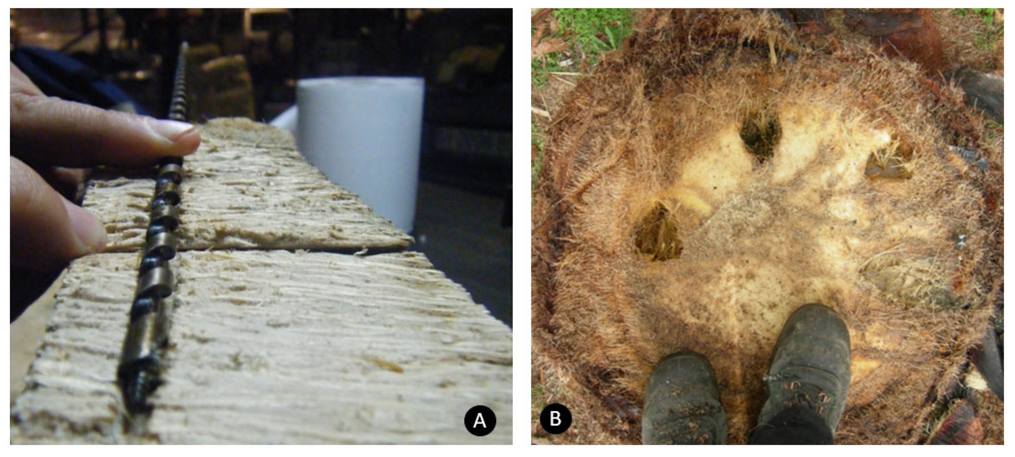 Agriculture 13 01465 g009 Agriculture 13 01465 g009