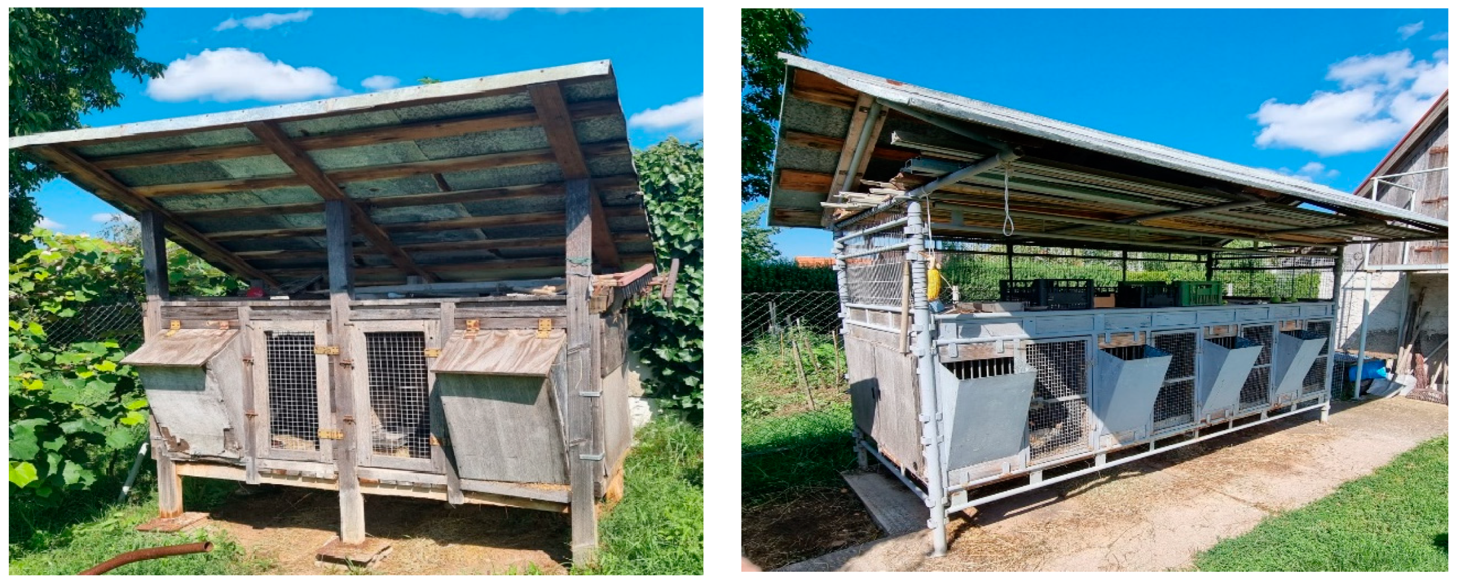 Agriculture 13 01468 g005 Agriculture 13 01468 g005