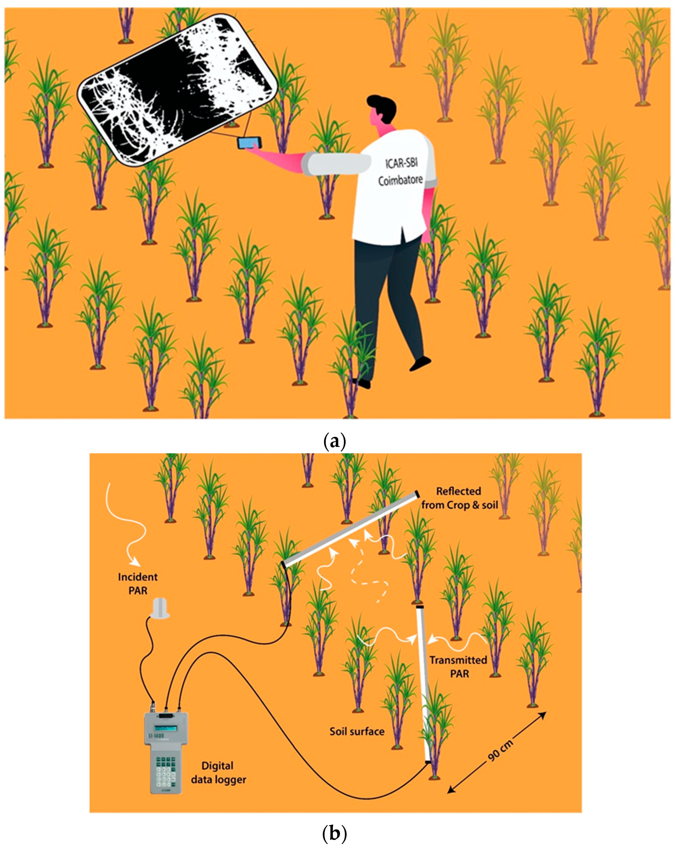 Agriculture 13 01481 g001