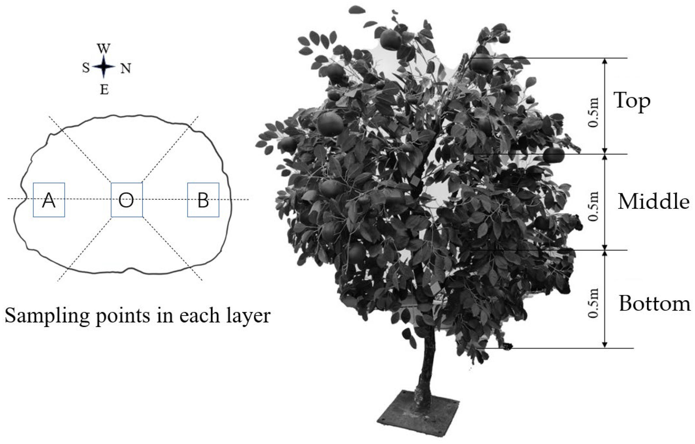 Agriculture 13 01498 g004