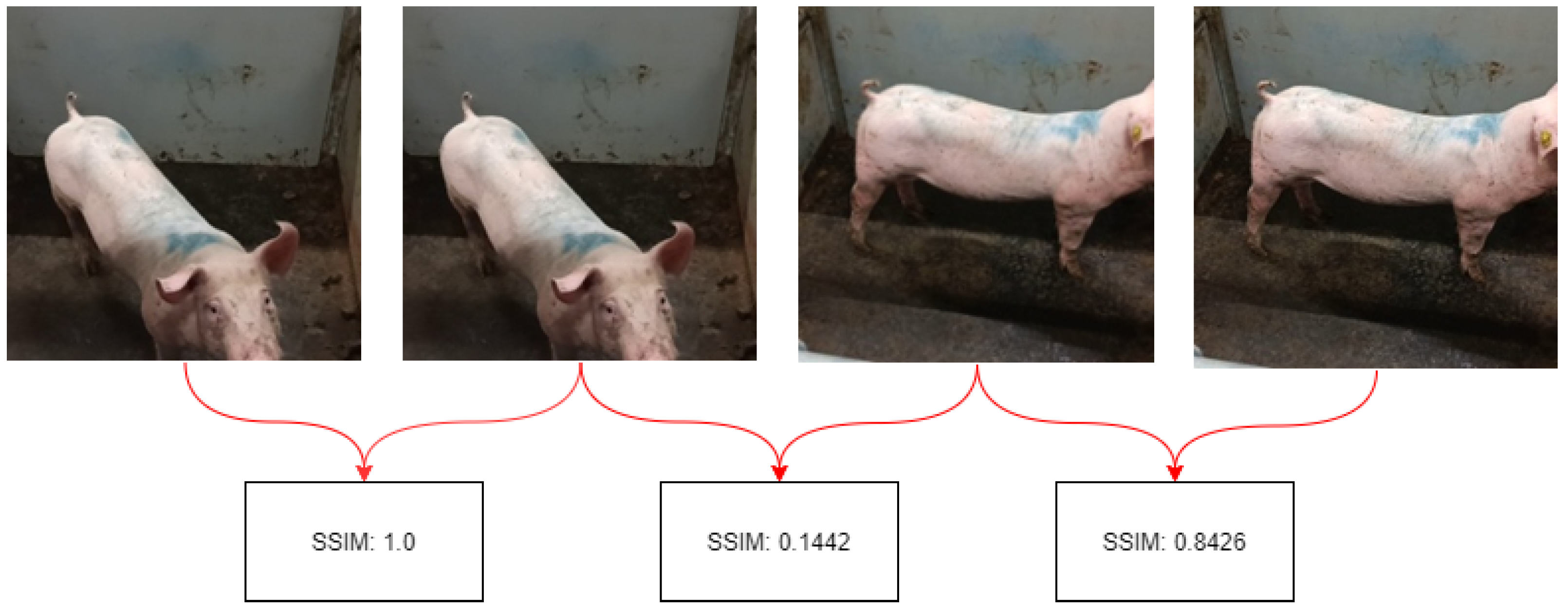 Agriculture 13 01522 g002