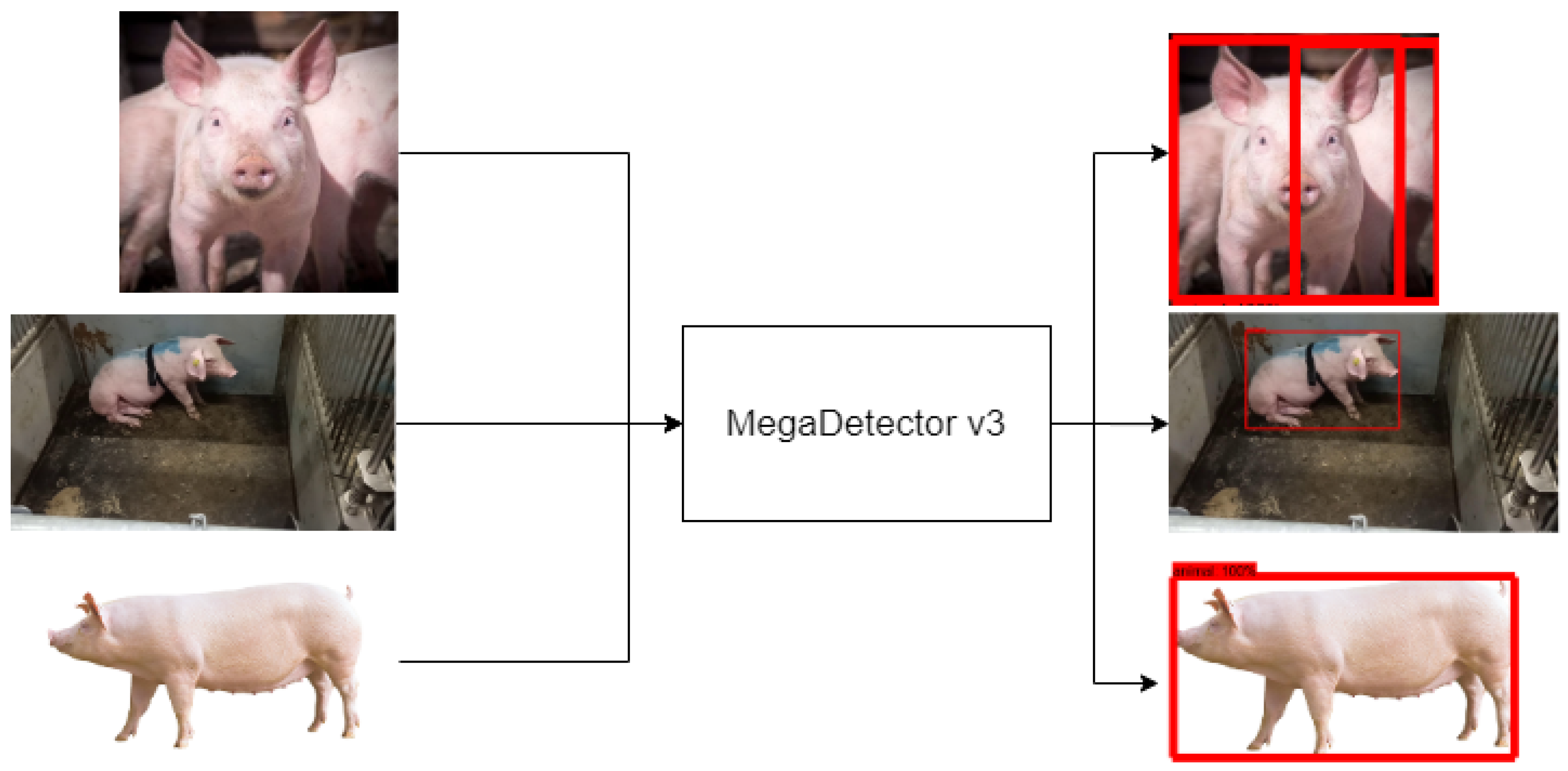 Agriculture 13 01522 g005