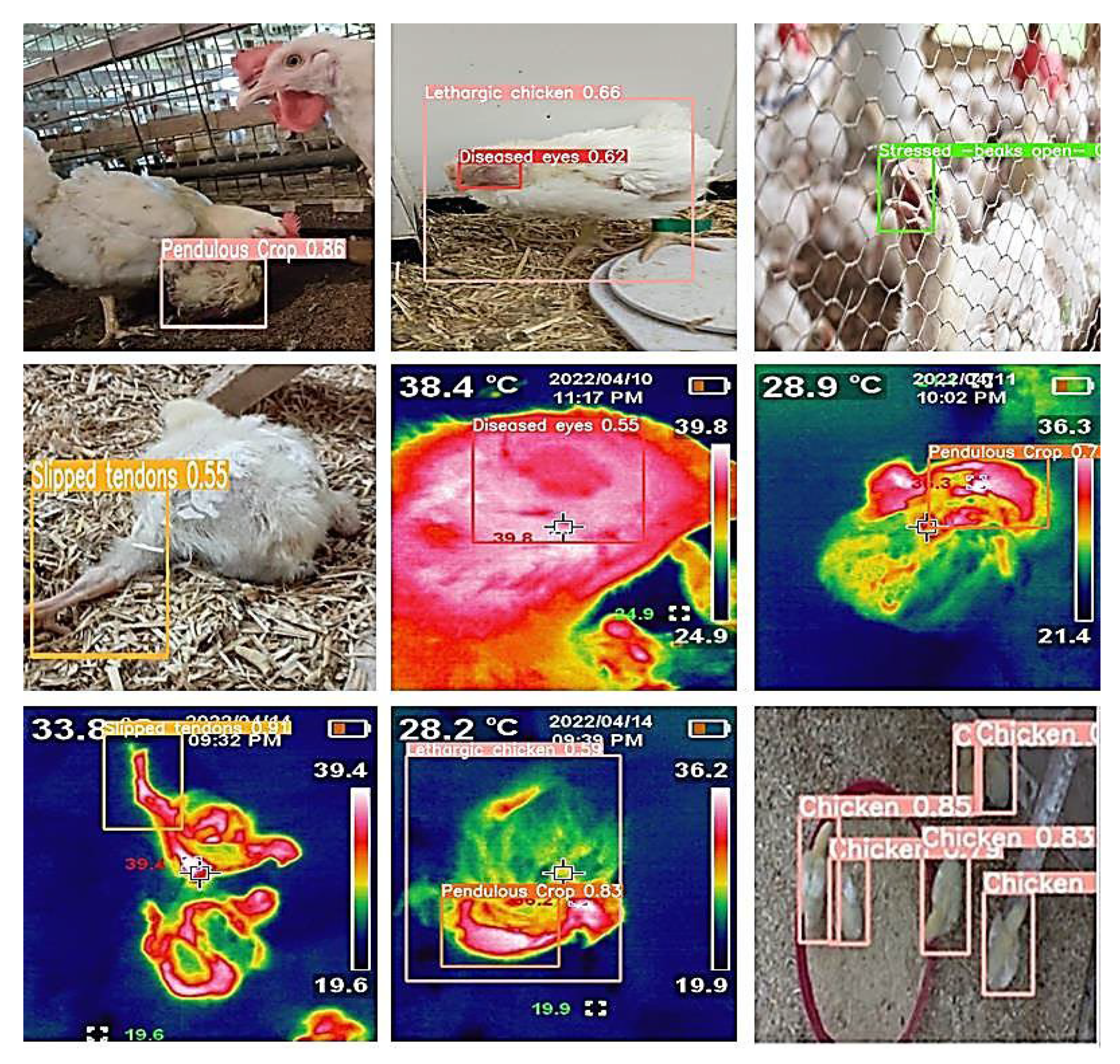 Agriculture 13 01527 g012 Agriculture 13 01527 g012