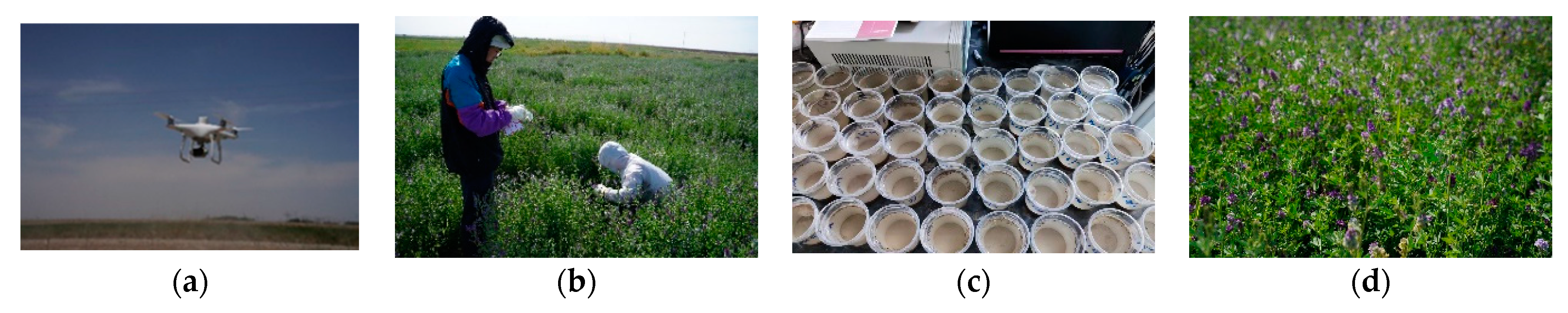 Agriculture 13 01530 g002 Agriculture 13 01530 g002