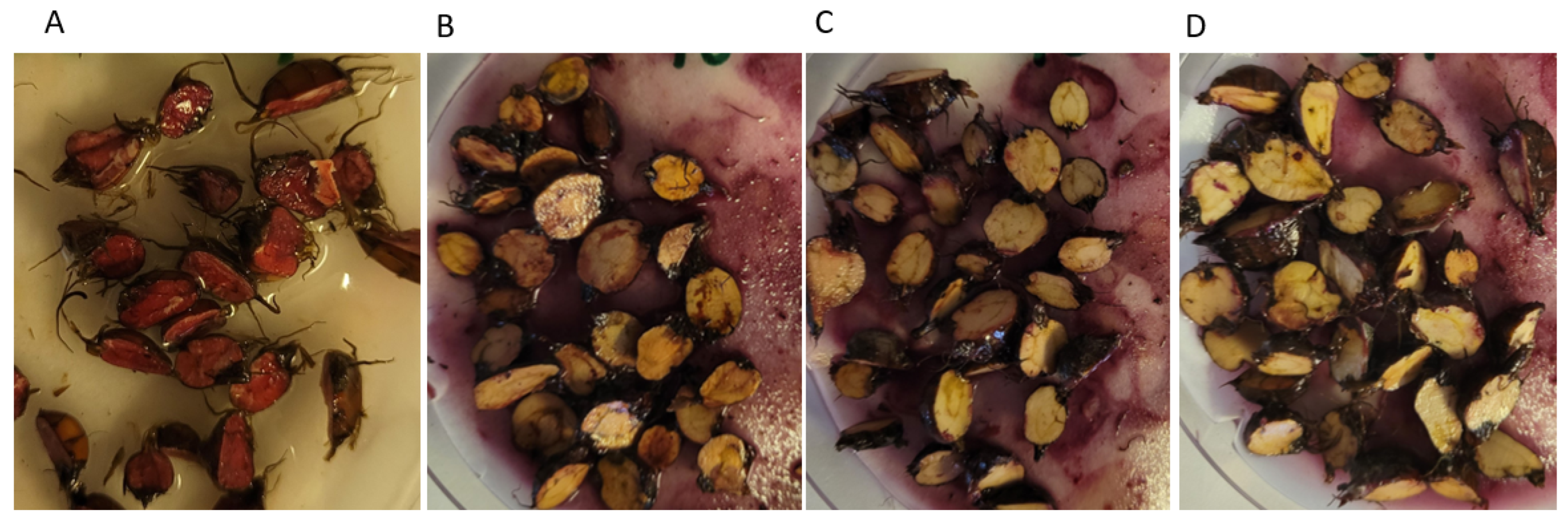 Agriculture 13 01547 g003 Agriculture 13 01547 g003