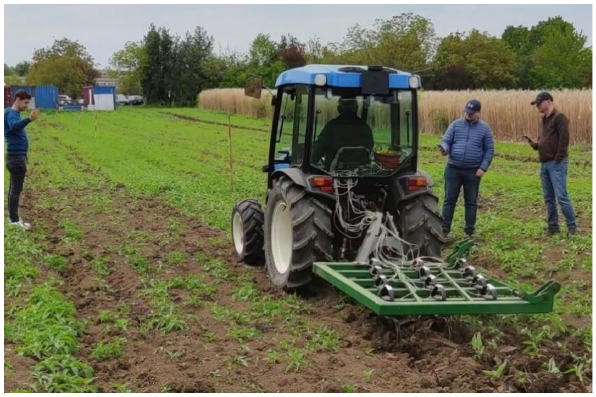 Agriculture 13 01565 g006 Agriculture 13 01565 g006