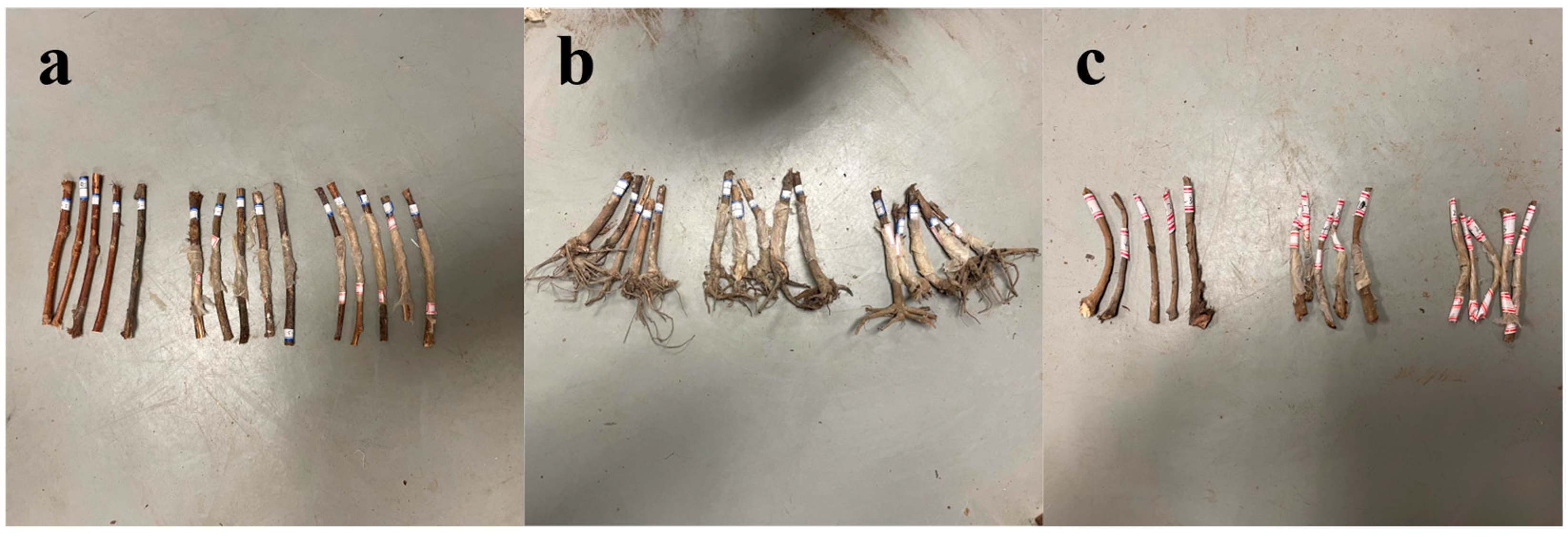 Agriculture 13 01572 g004 Agriculture 13 01572 g004