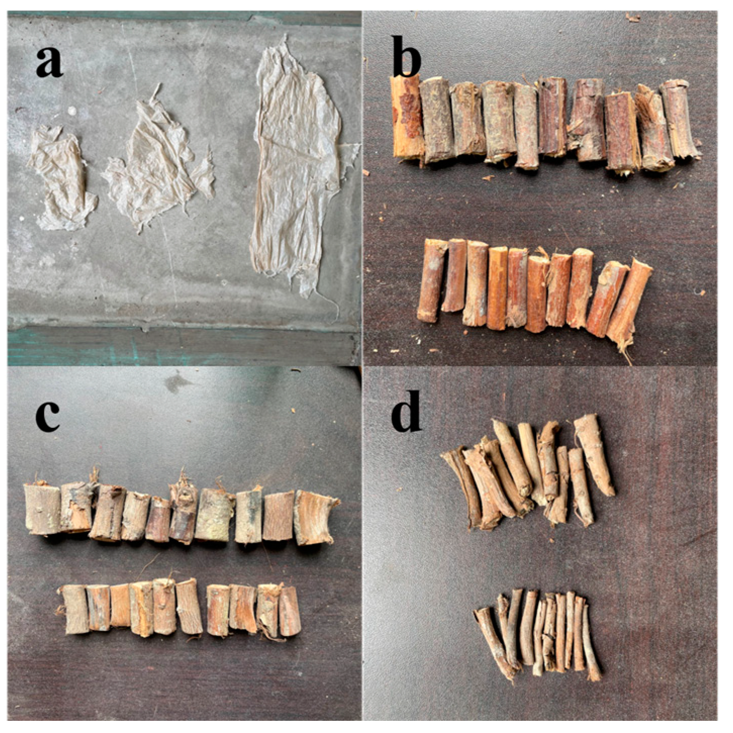 Agriculture 13 01572 g005 Agriculture 13 01572 g005