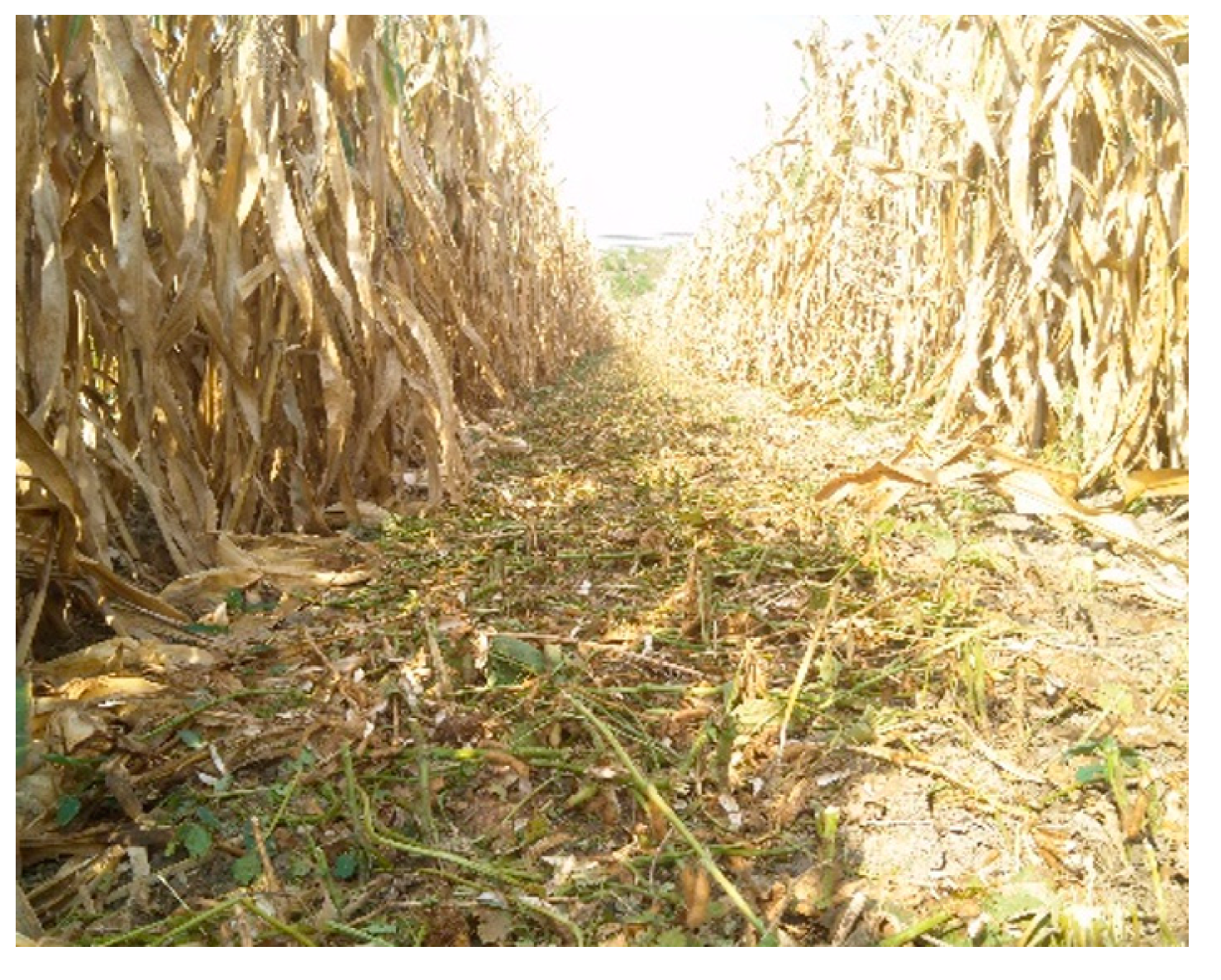 Agriculture 13 01580 g011