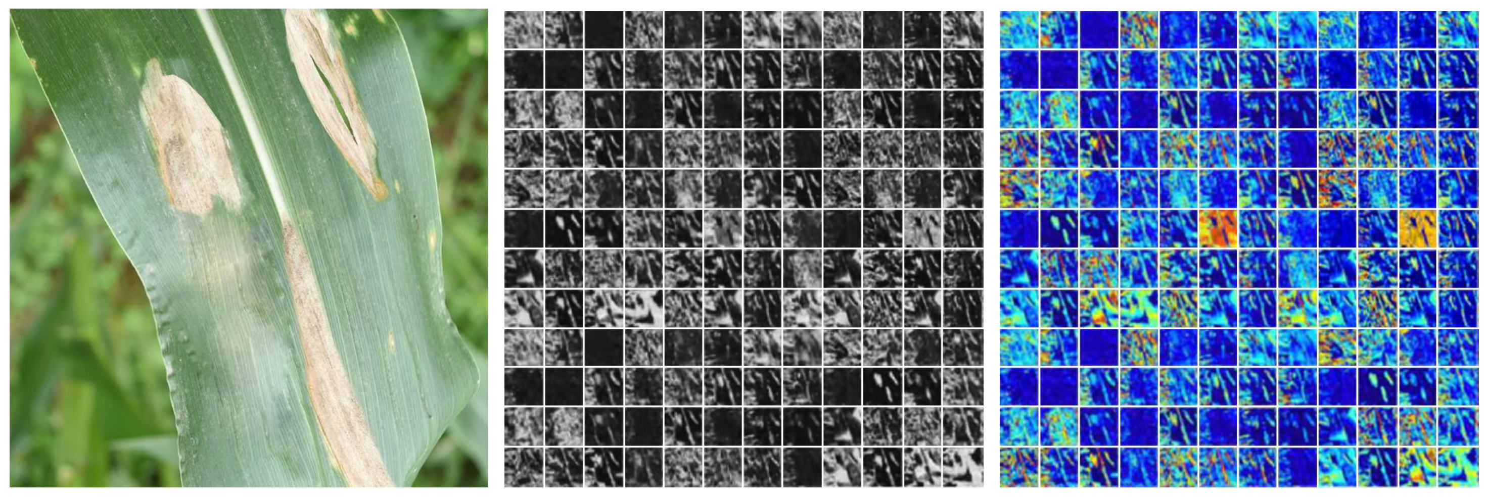 Agriculture 13 01606 g010