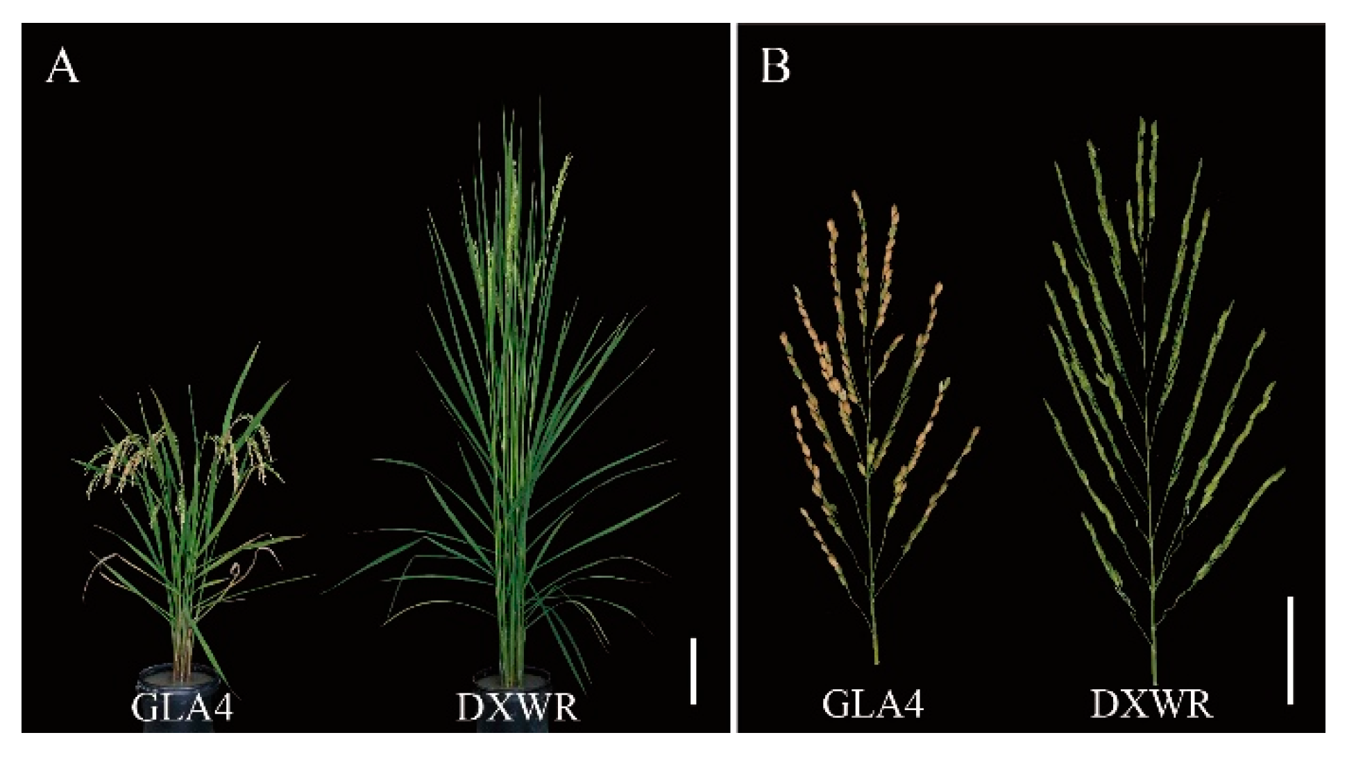 Agriculture 13 01623 g001