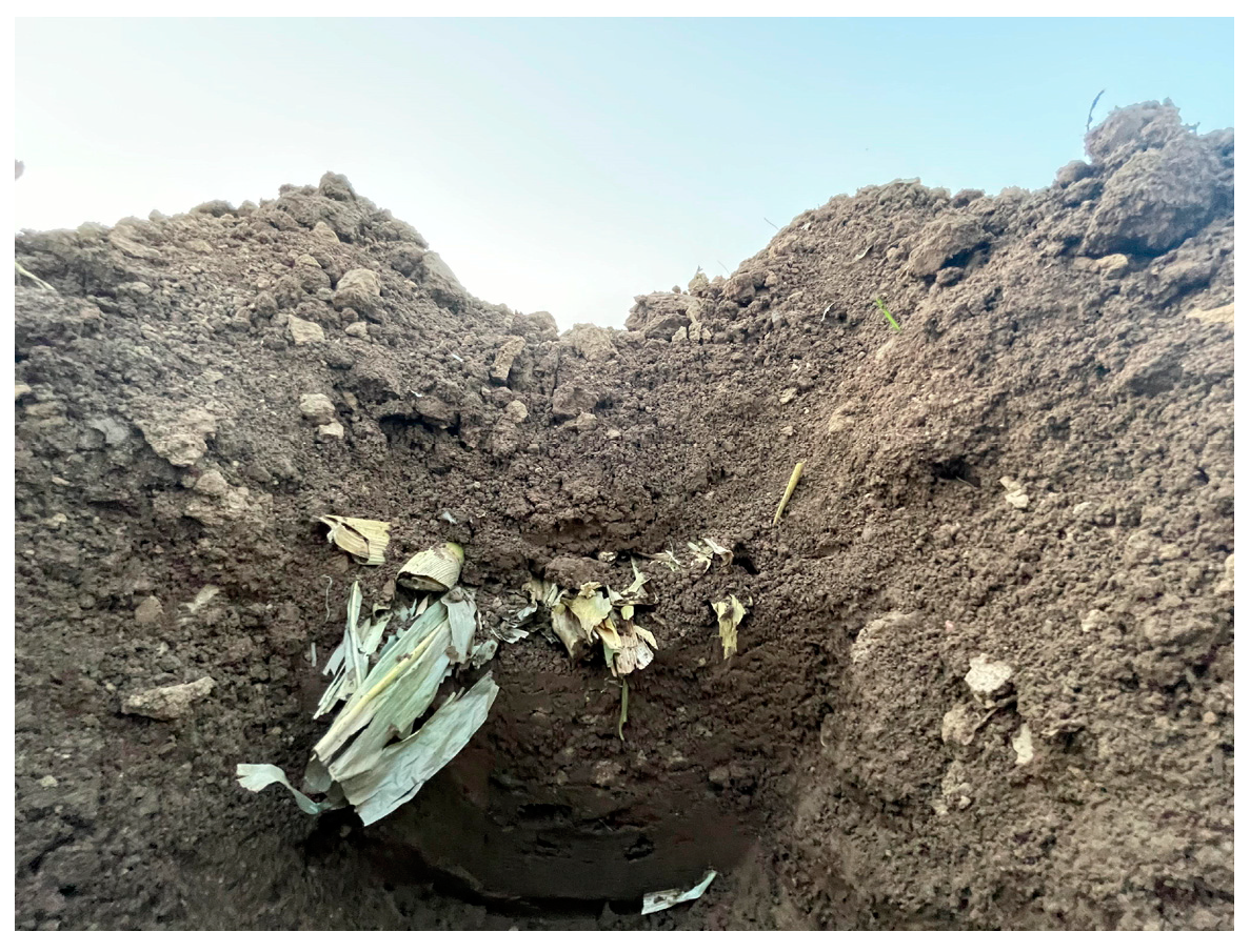 Agriculture 13 01650 g019