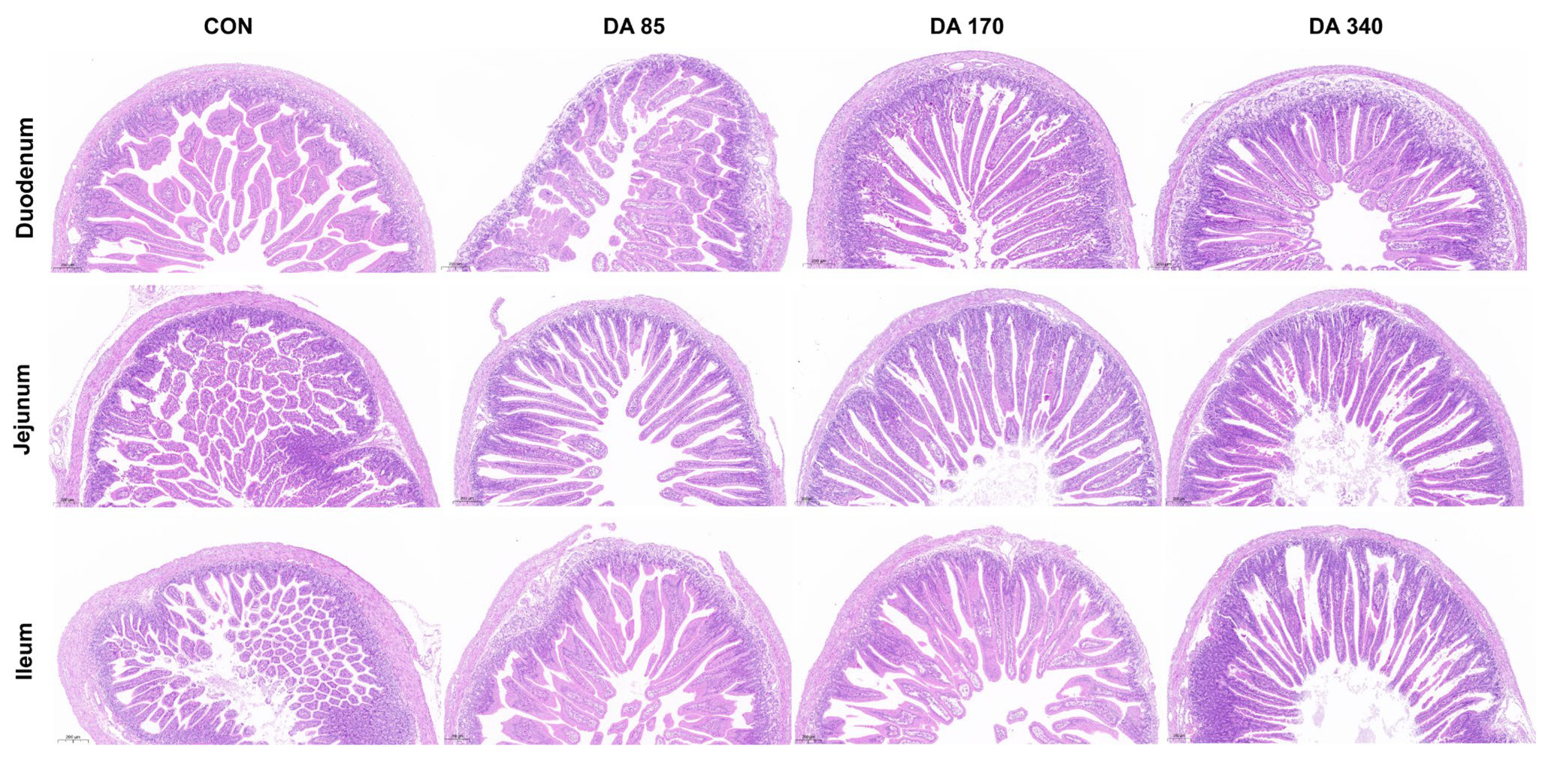Agriculture 13 01654 g001