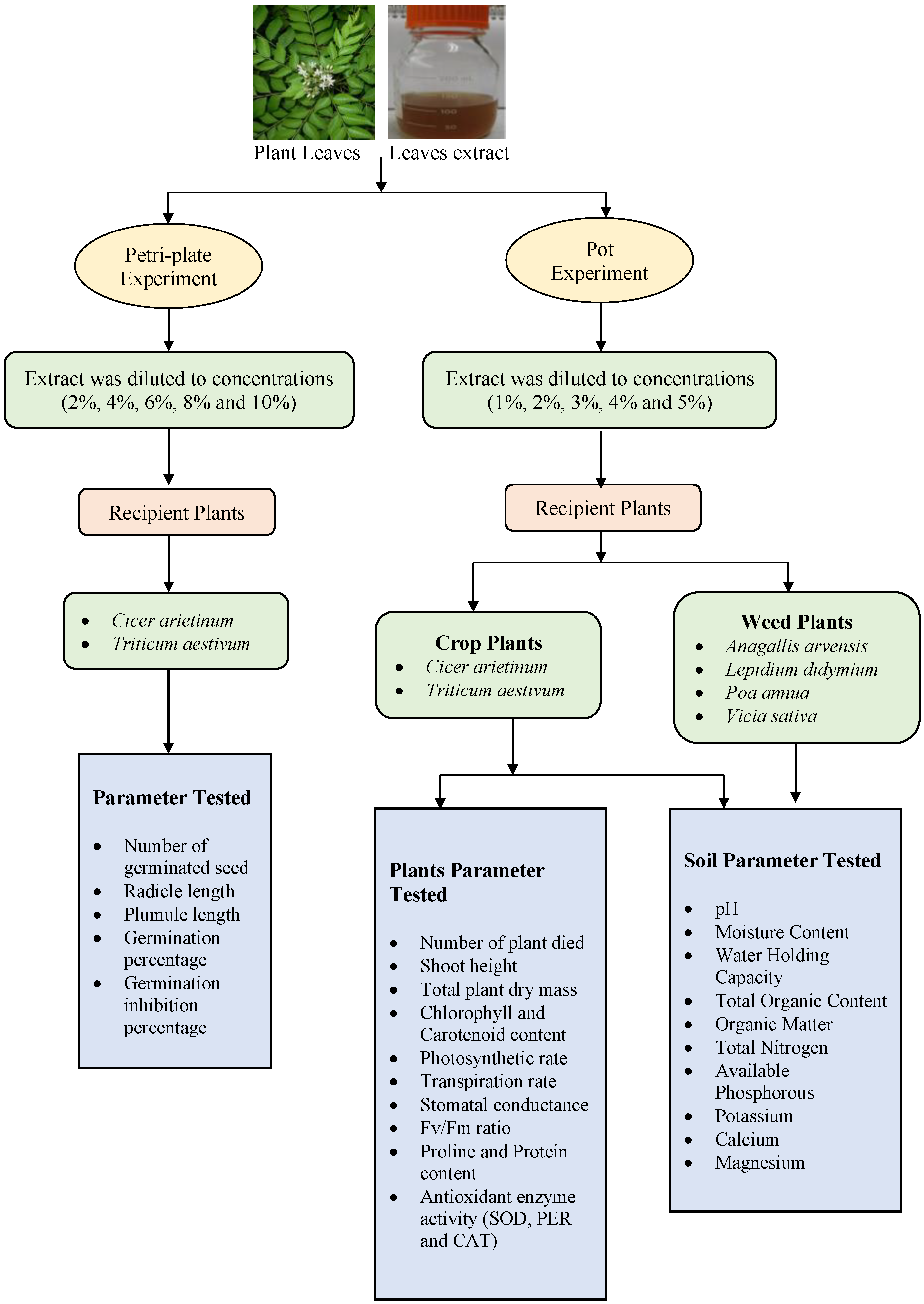 Agriculture 13 01678 g001