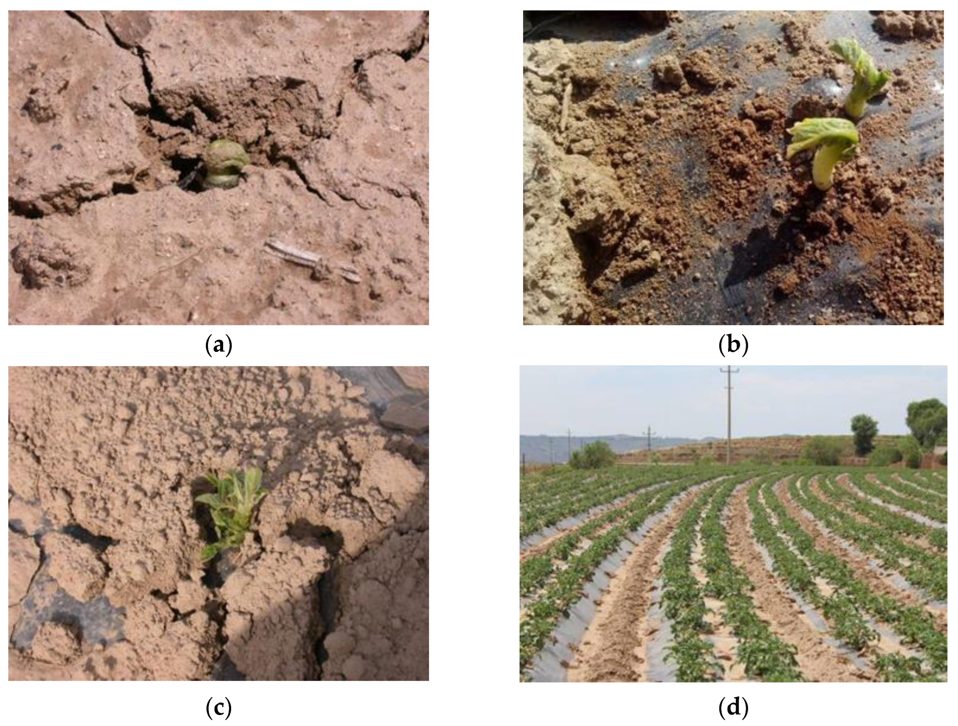 Agriculture 13 01680 g001