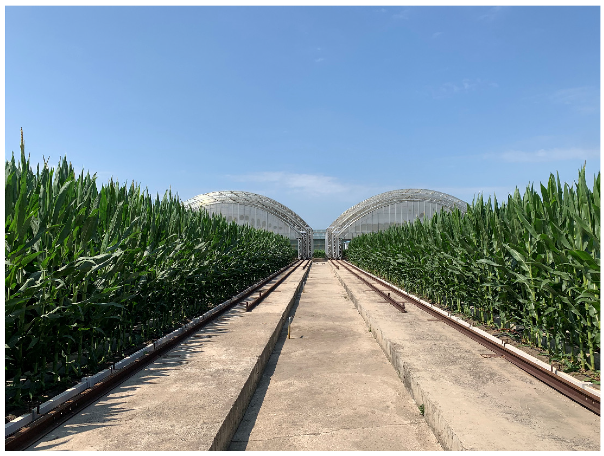 Agriculture 13 01682 g001